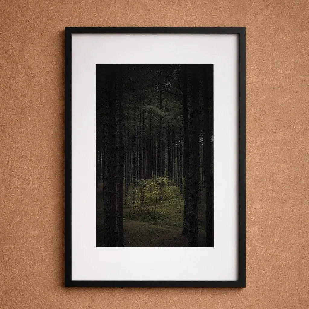 Birches+frame.jpg