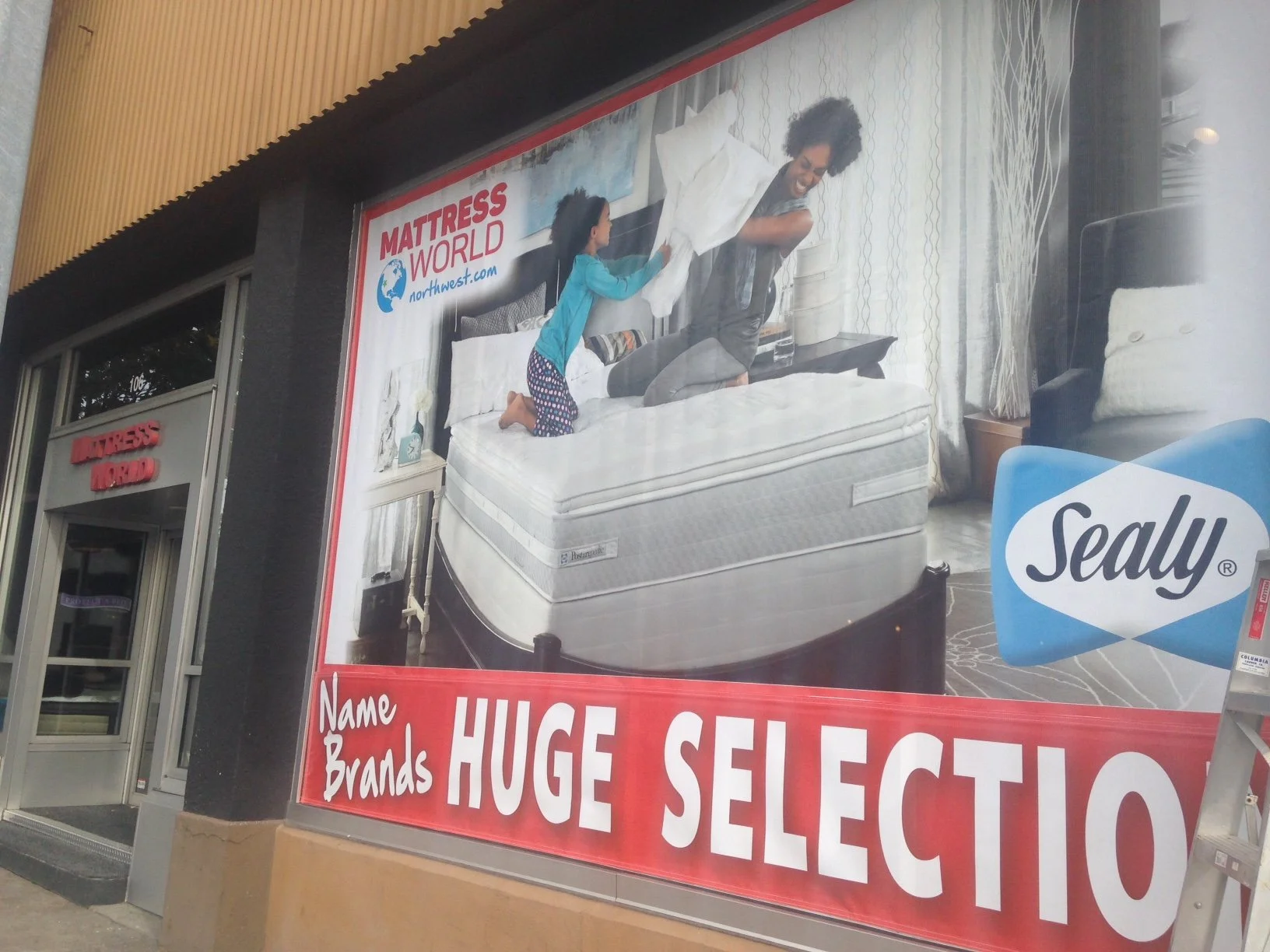 MATT WORLD SEALY.JPG