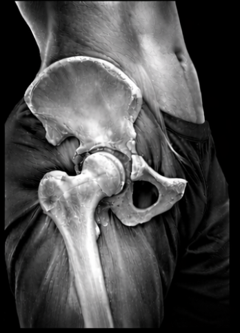 Close-up of a bare person's torso with a large human pelvis and femur bone superimposed on the right side of the body, blending with the skin.