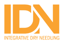 Logo with the letters 'IDN' in orange, with 'INTEGRATIVE DRY NEEDLING' written below.