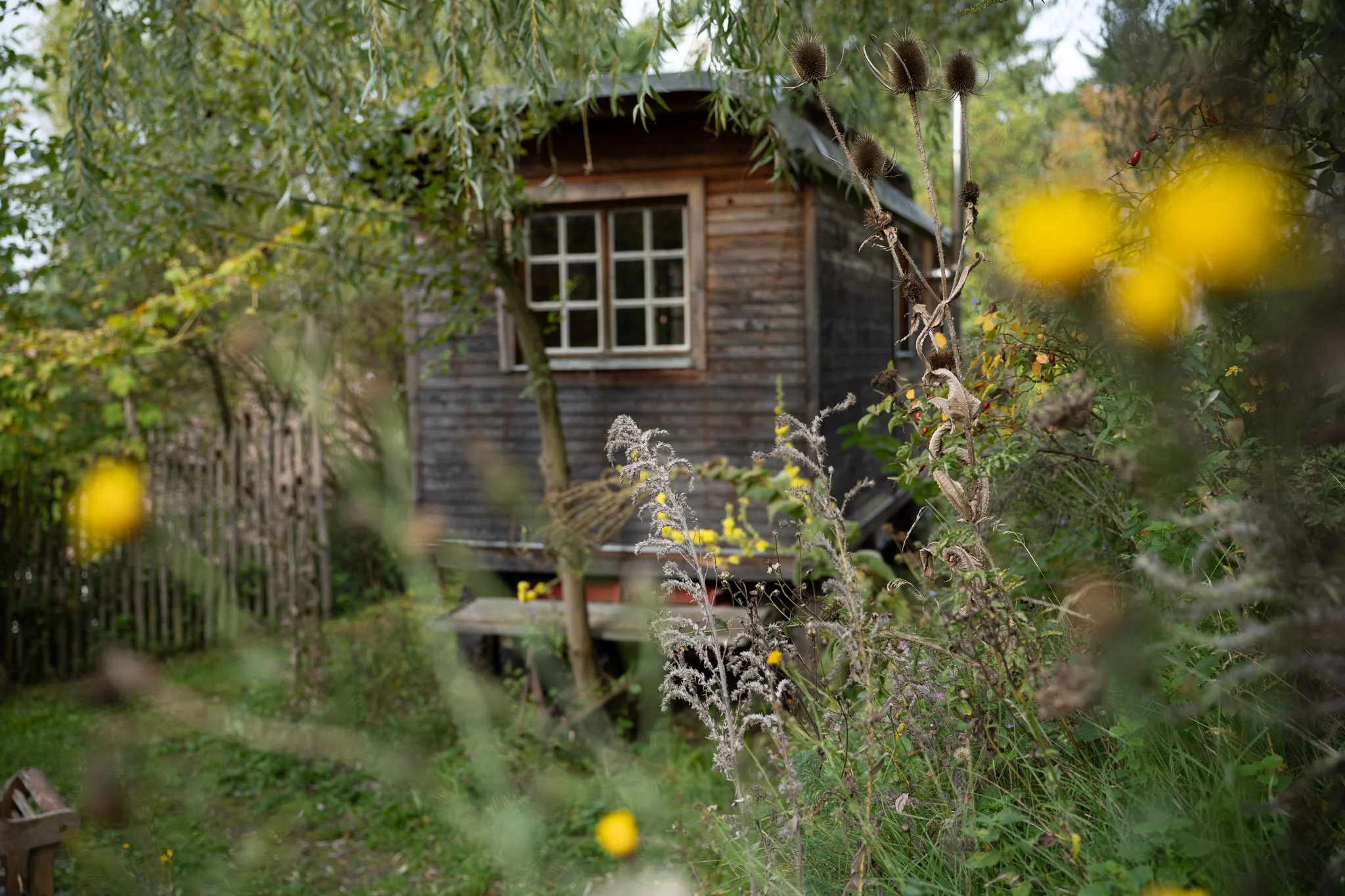 Ein Holzhaus in einem Garten, umgeben von Büschen und Blumen, mit einem Baum im Vordergrund.