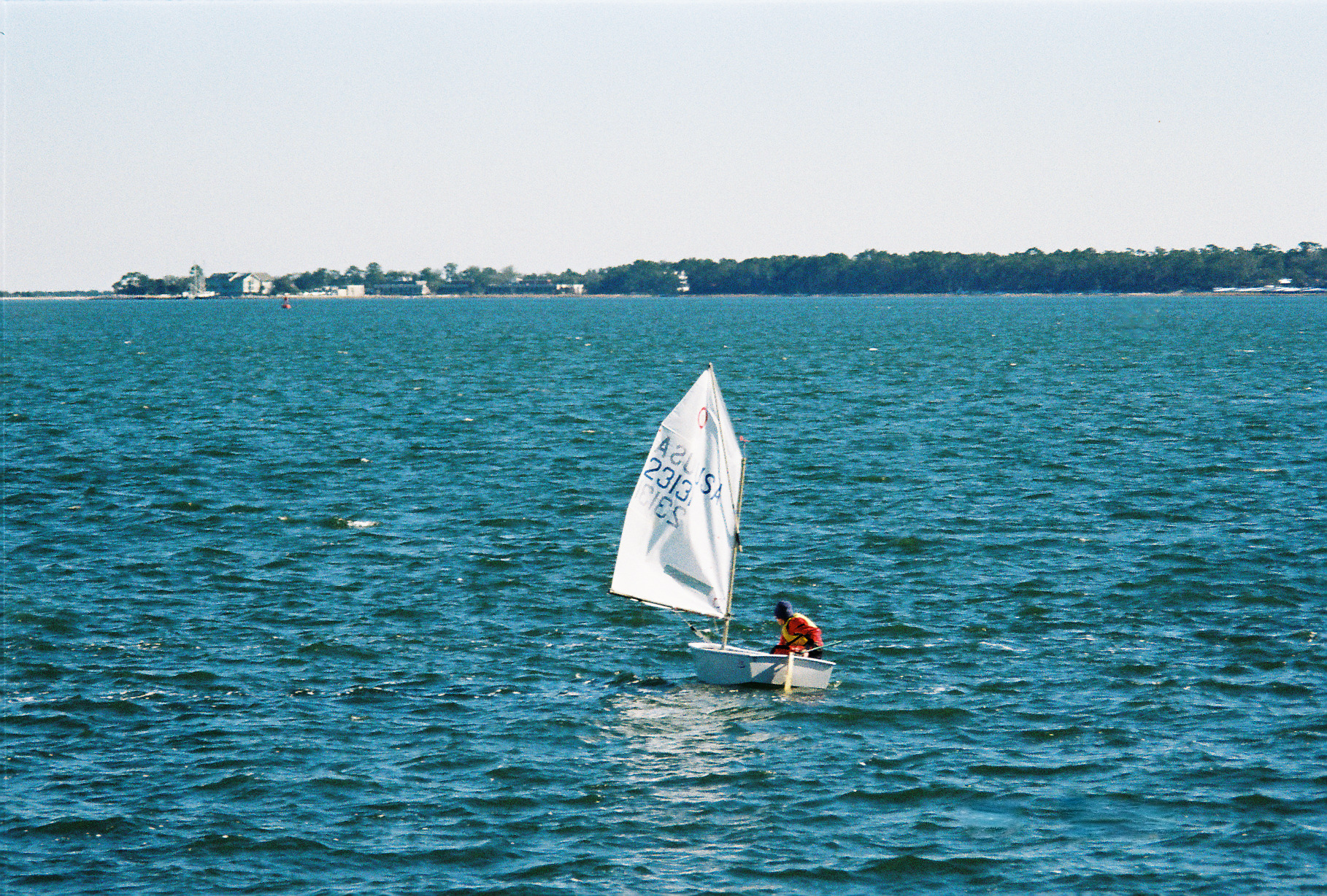 IMG_2264.PNG