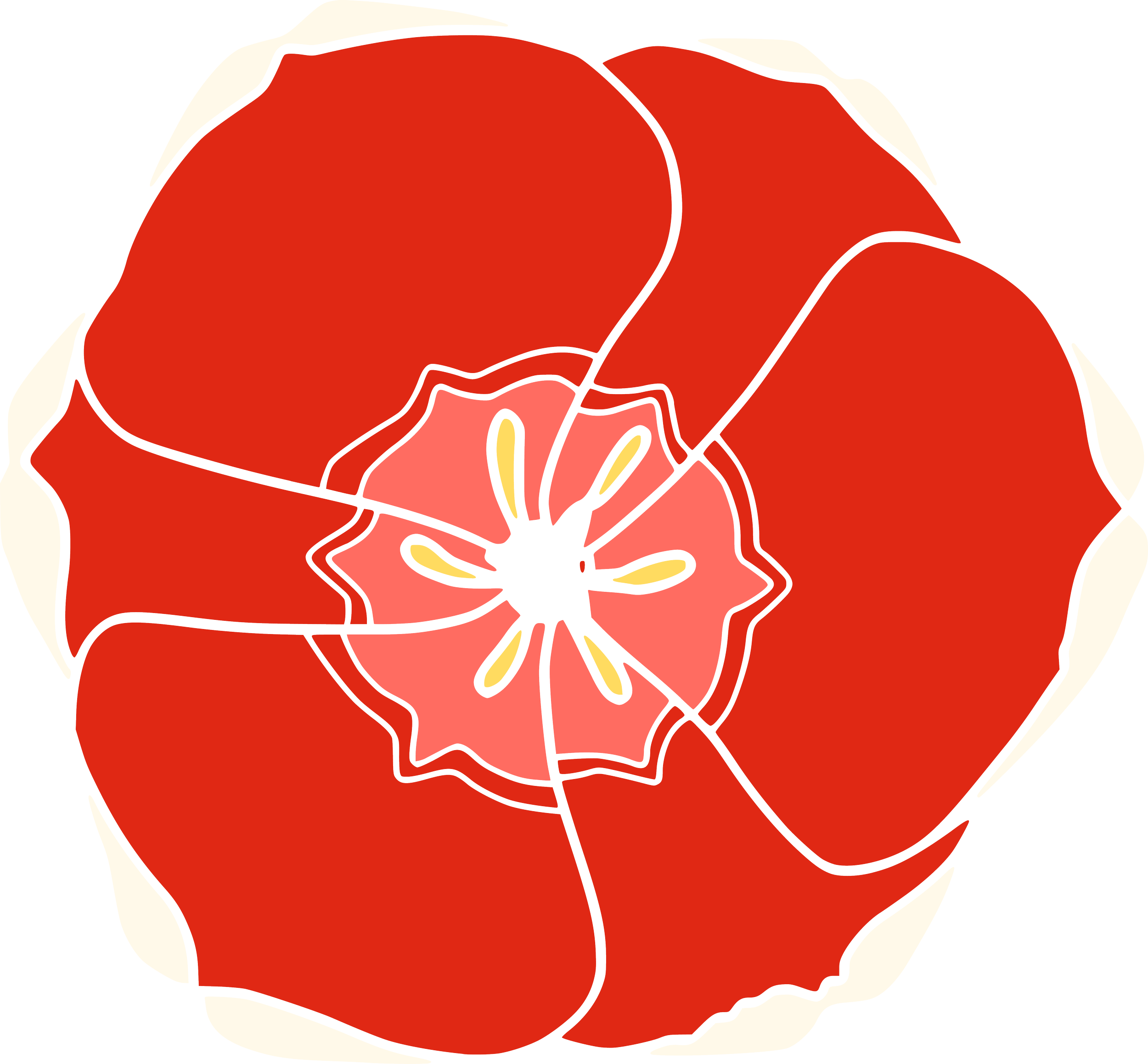 Image of an open tulip