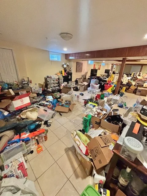 Client Basement - Before