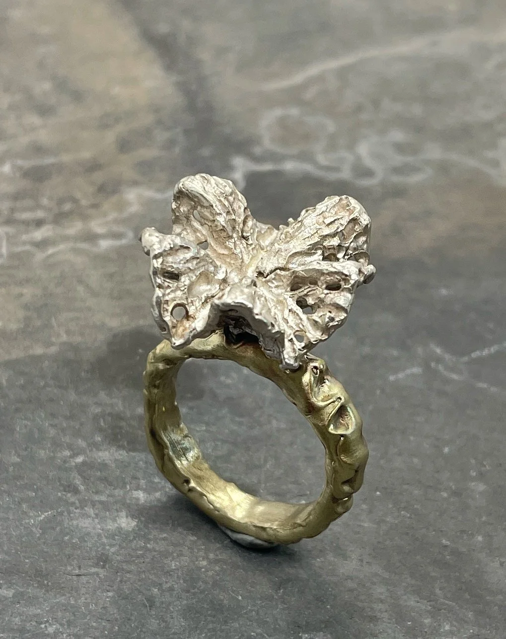 Coral Collection - Sold