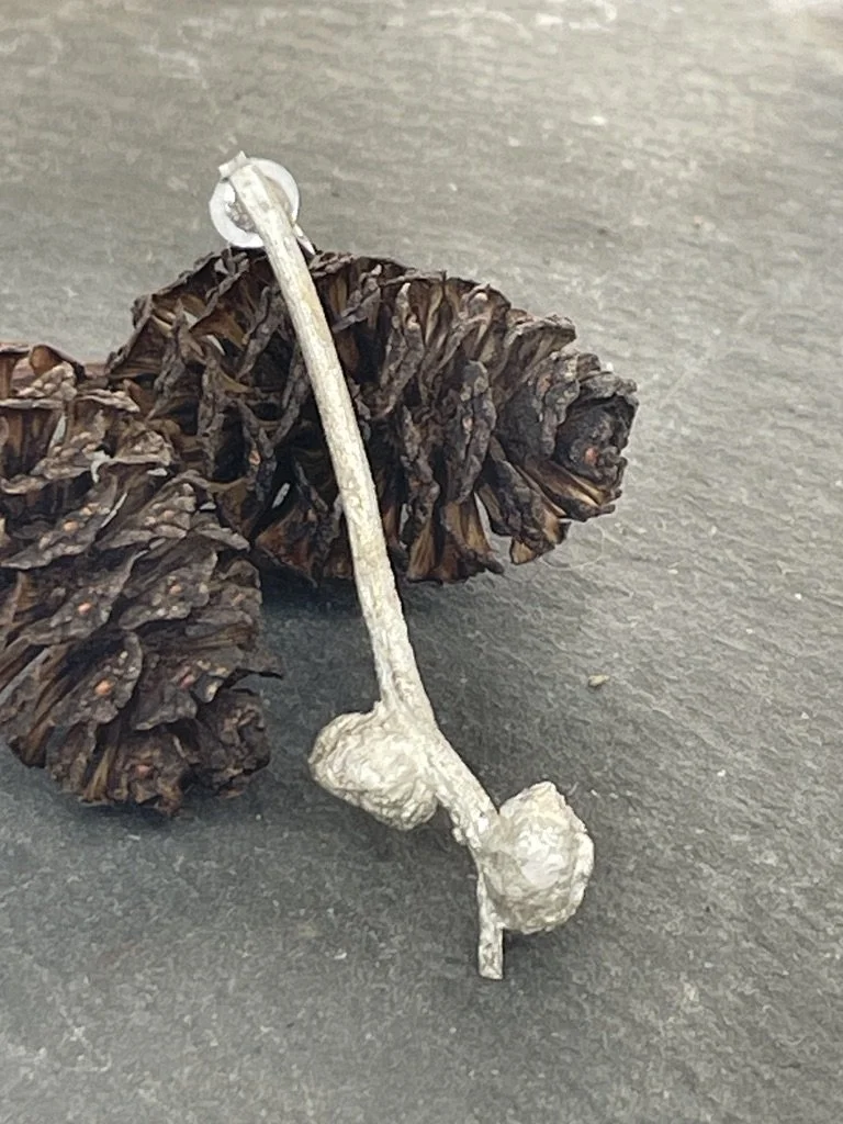 Acorn II