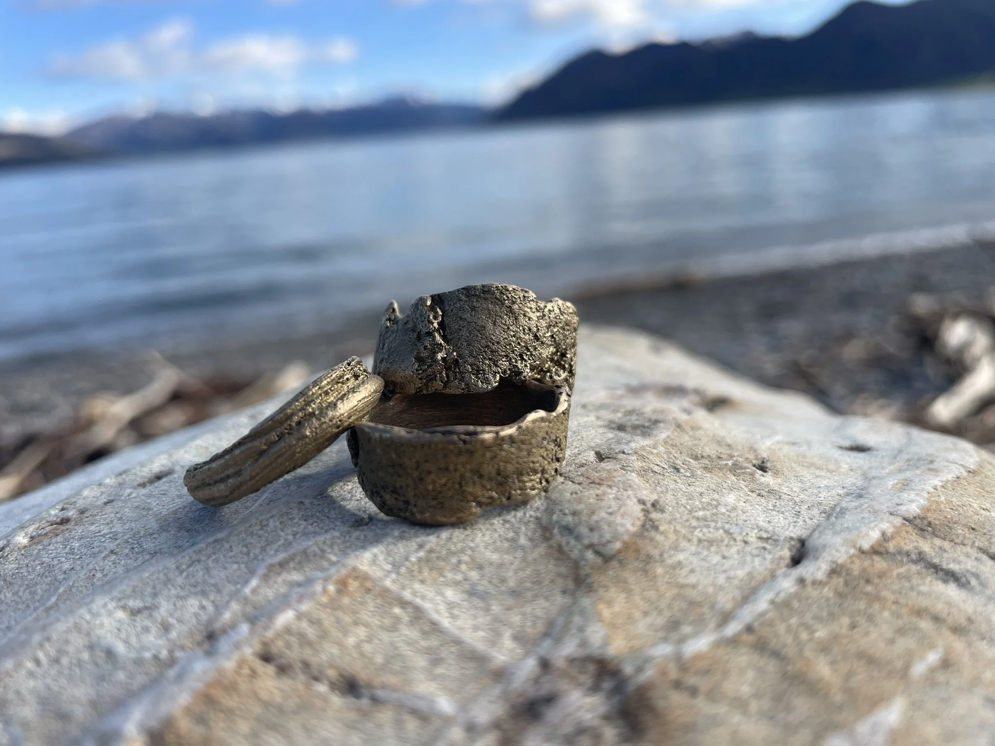 FEF12761-6674-4BDF-9DC3-D2709ADD3A03_1_102_o.jpeg