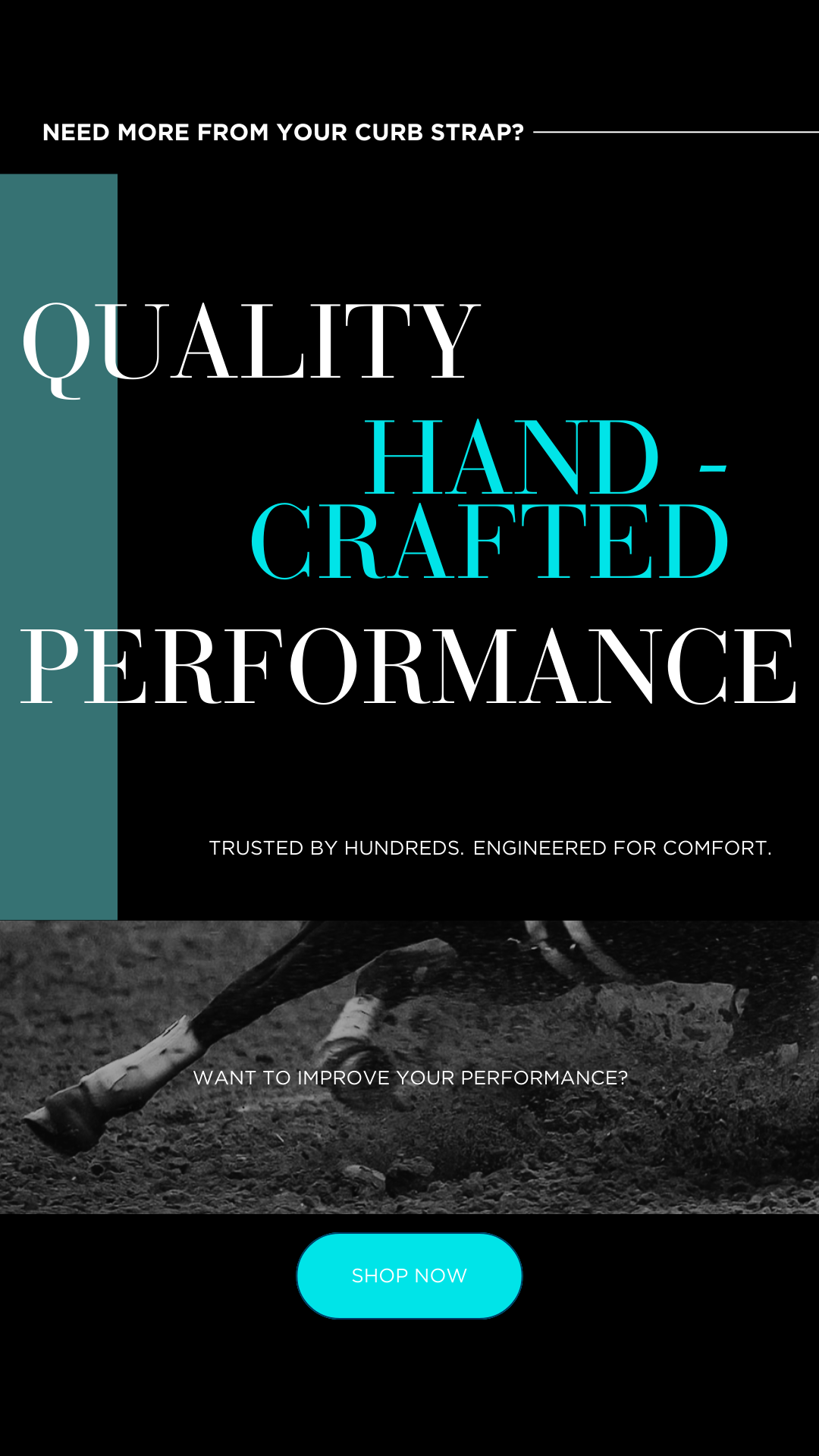 2_NFR AD 2 (1080X1080)3.png