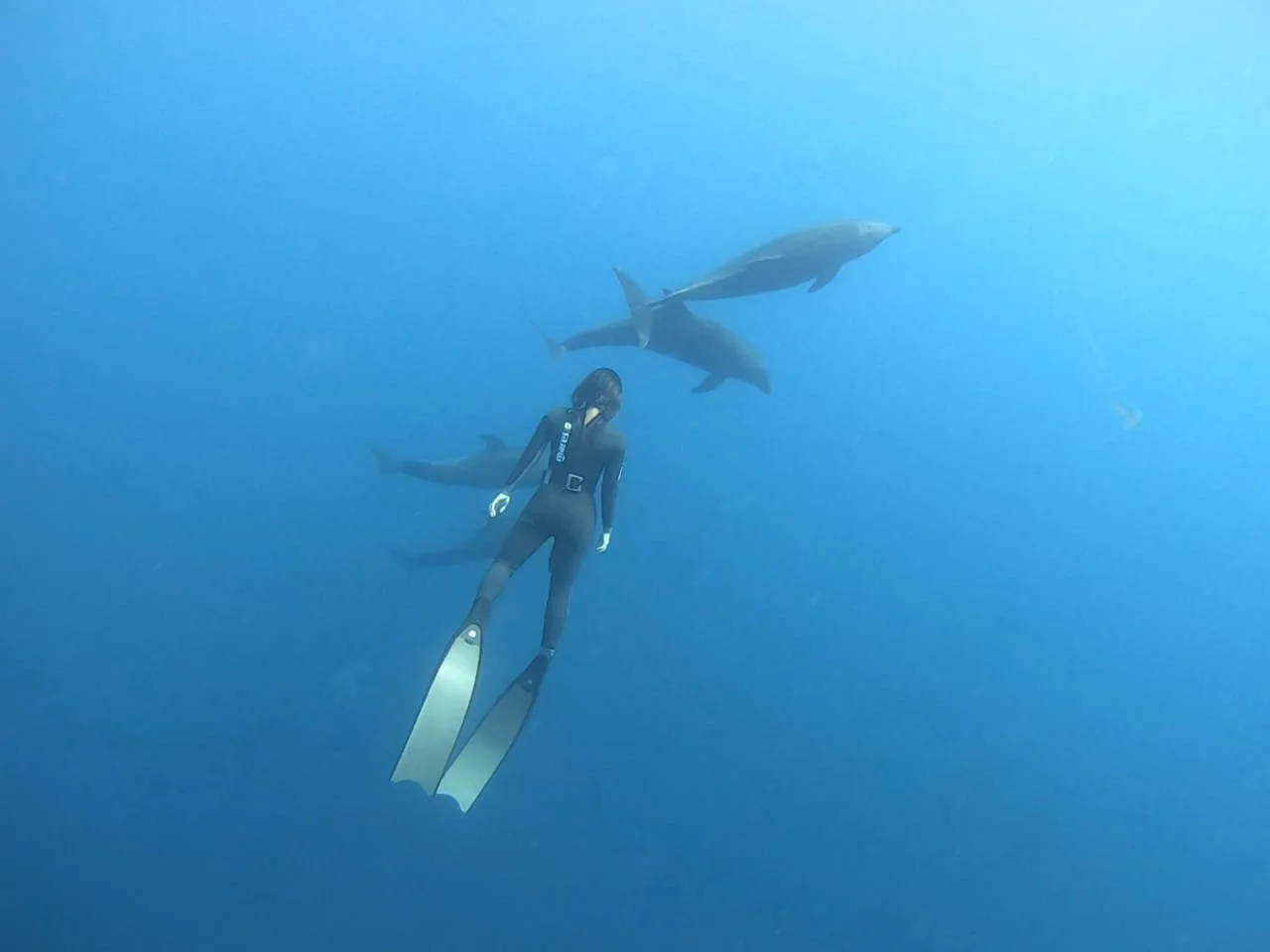 Buceadora nadando en el océano con dos tiburones cerca en aguas profundas.