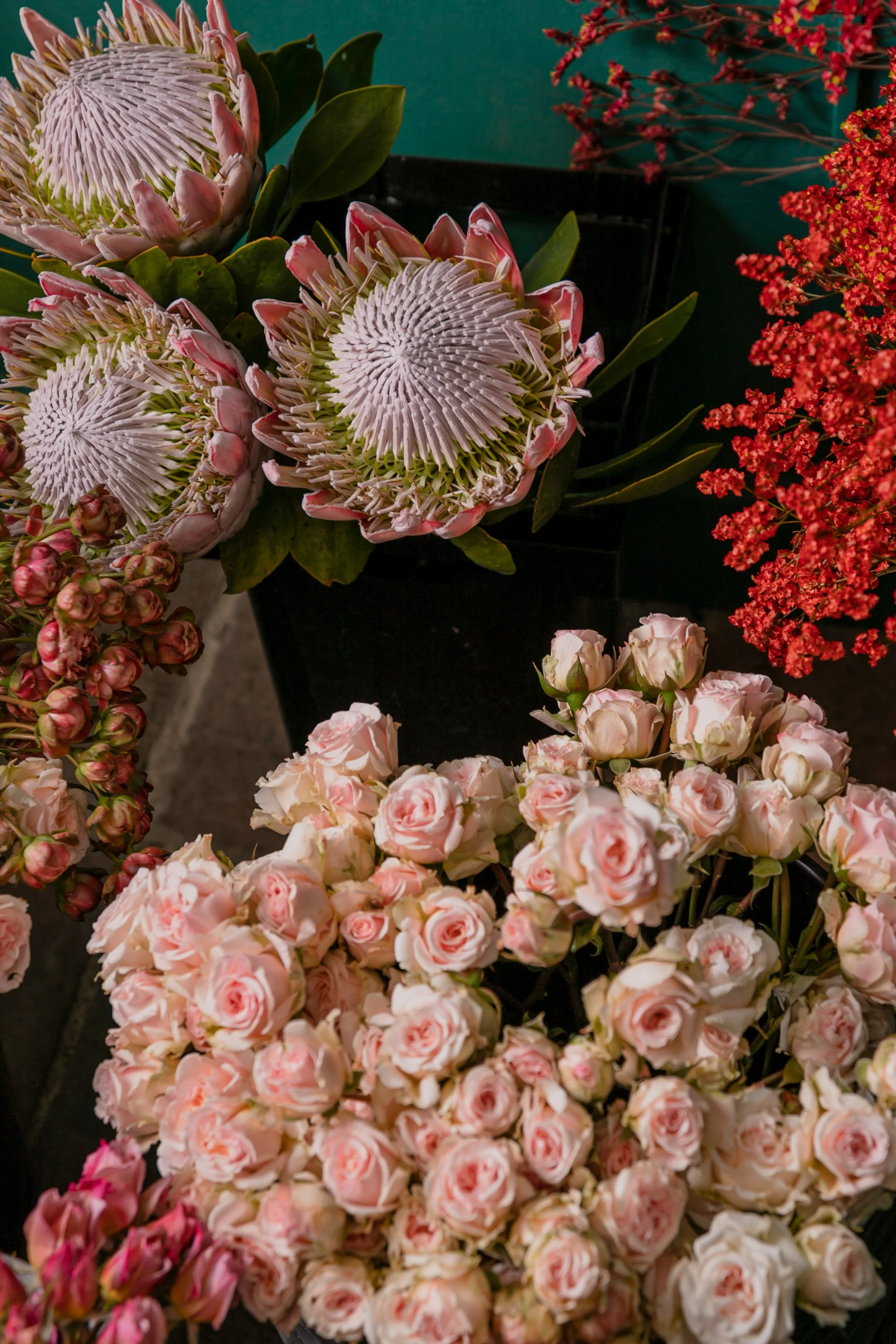 Verschiedene Blumen, darunter eine große Gruppe von rosa Rosen, Protea-Blumen mit großen, kreisförmigen Blüten, und kleine rote Blumen, alle in schwarzen Vasen