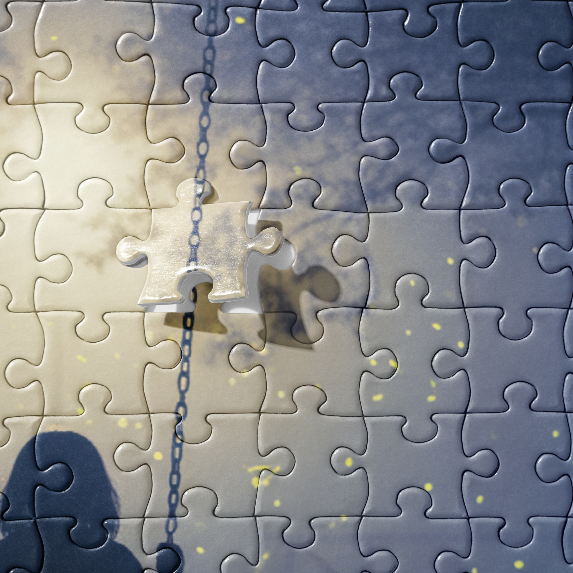Puzzle - Divide Theory - Close-up detail of jigsaw puzzle pieces. Shows the interlocking cuts and print texture of the swing chain and misty light.