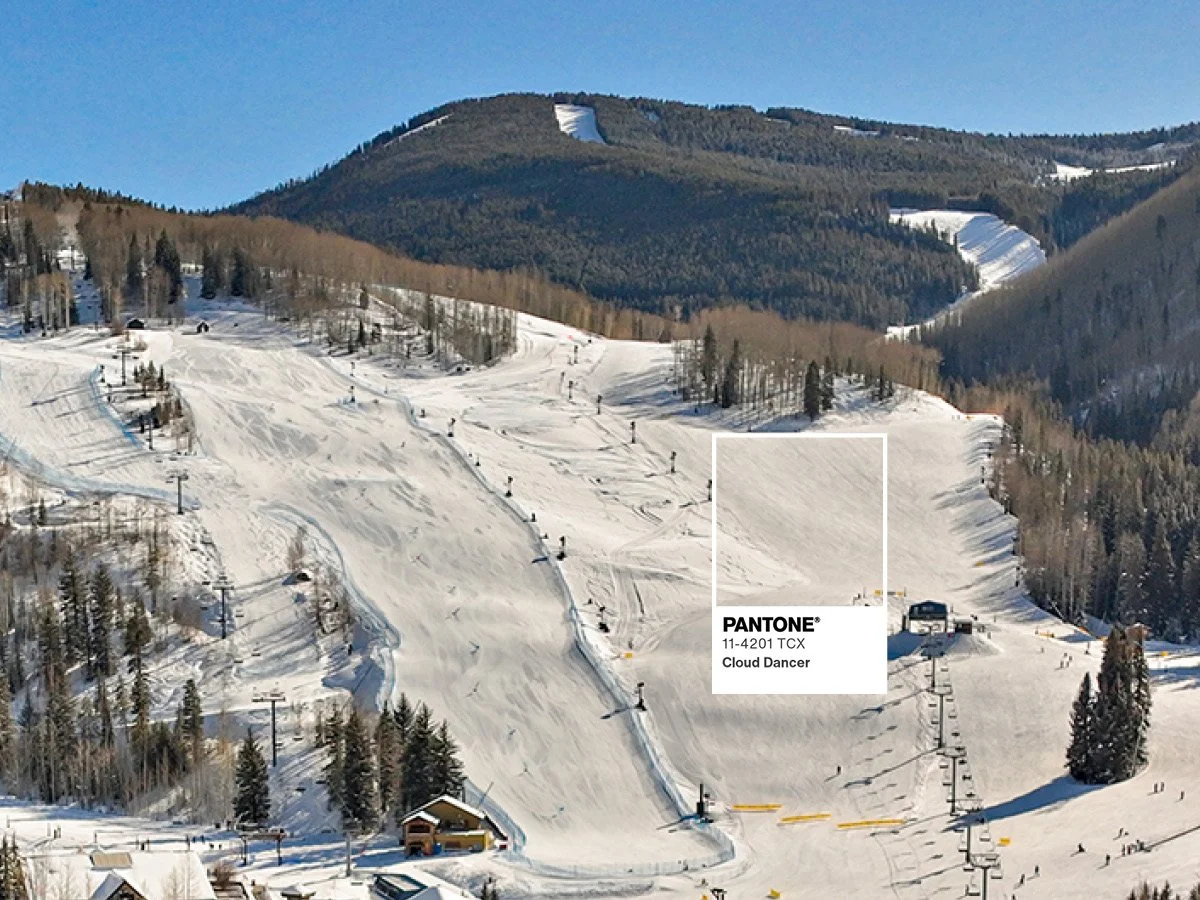 Vail Mountain Ski Area