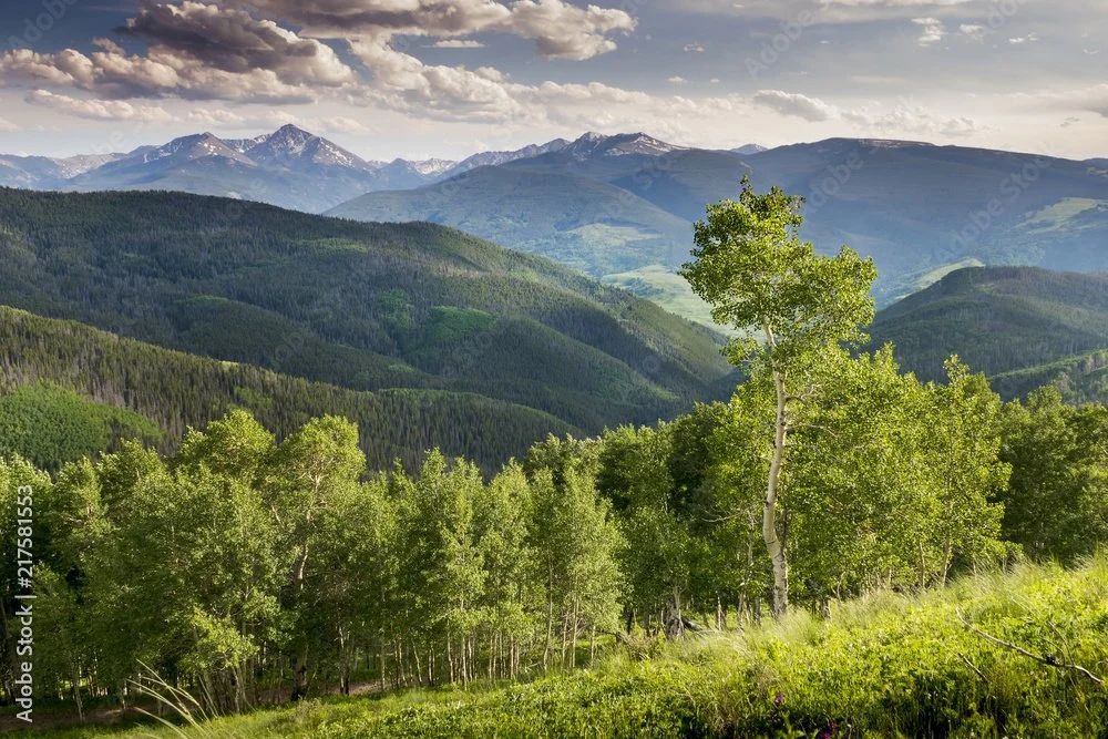 Scenic landscape of rolling green hills, a turquoise lake, and tall gray mountains under a cloudy sky.