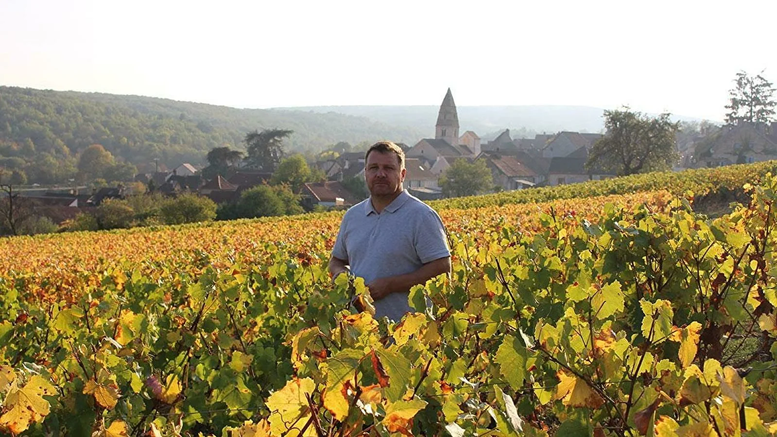 Jérôme Fornerot winery in Saint-Aubin, Burgundy, producing refined Chardonnay and Pinot Noir with elegance, balance, and expressive terroir character.