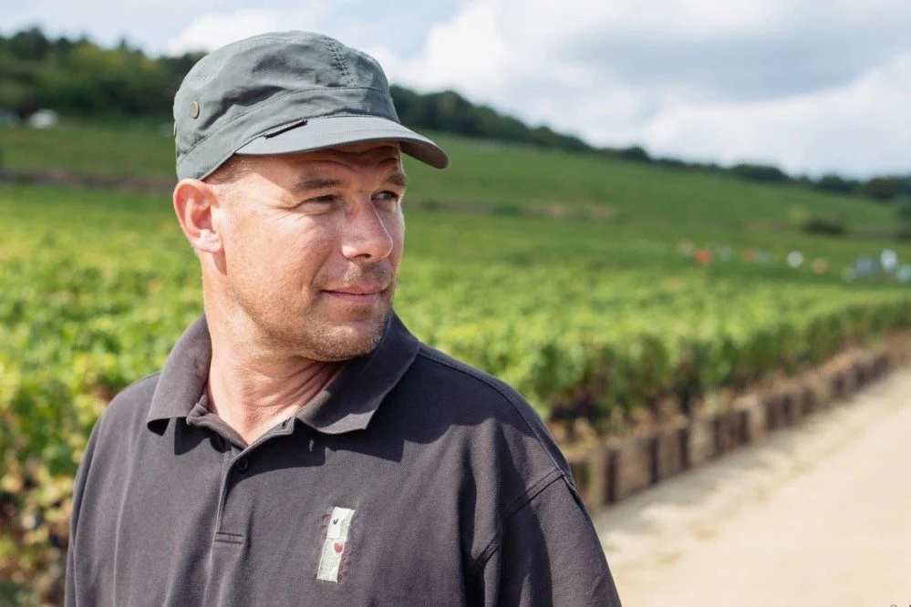 Domaine Lignier-Michelot in Morey-Saint-Denis, producing elegant, terroir-driven Pinot Noir with depth, purity, and aging potential.