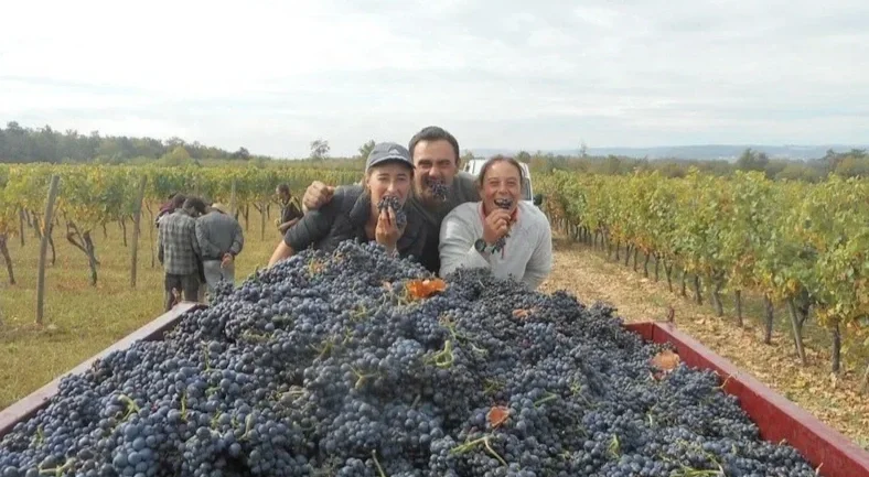 Domaine Truchetet in Prémeaux-Prissey, producing elegant Pinot Noir and Chardonnay with finesse, structure, and authentic Côte de Nuits terroir expression.