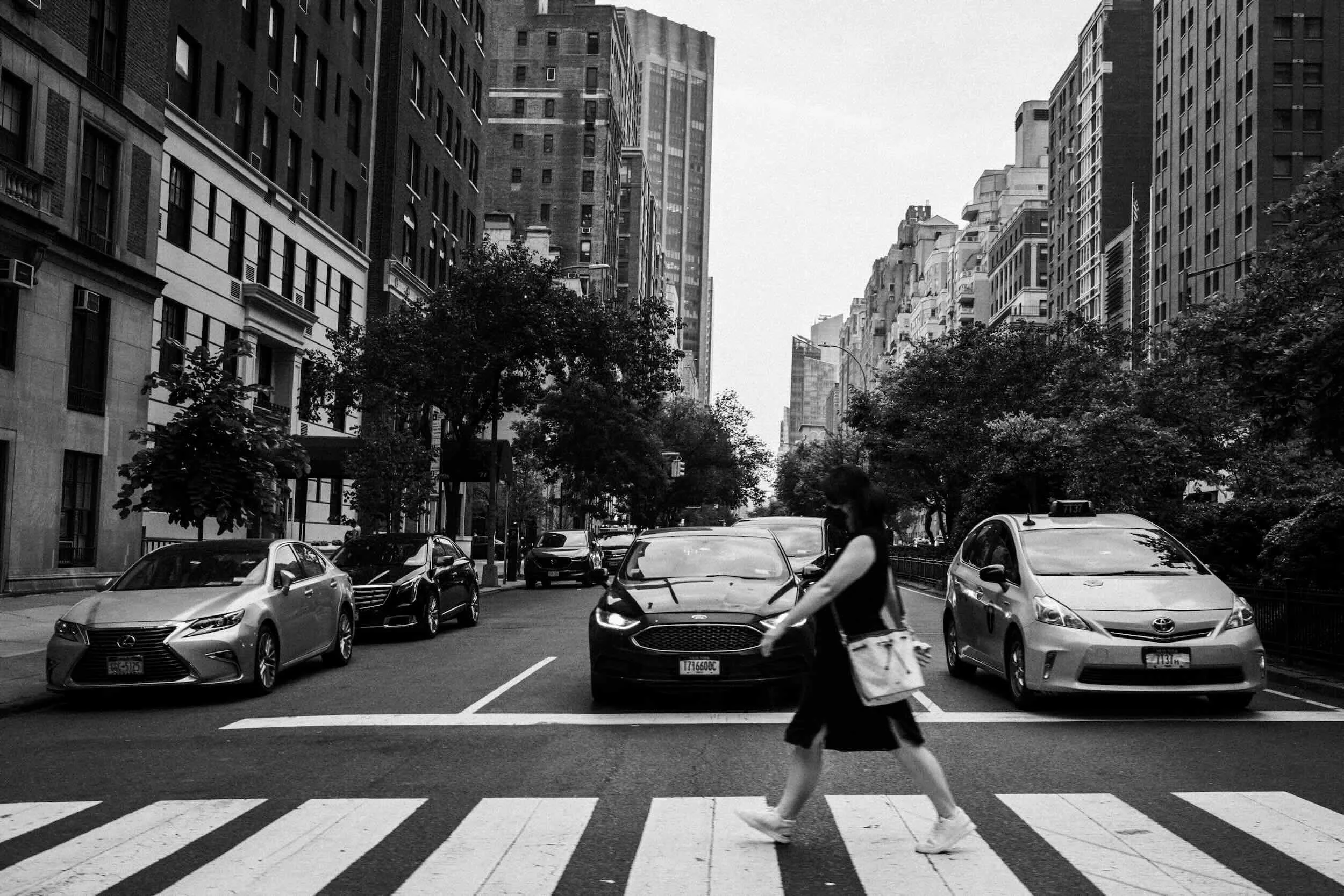A city street scene in black and white showing tall buildings on both sides, trees lining the sidewalk, parked cars along the curb, and a person crossing the street at a crosswalk.