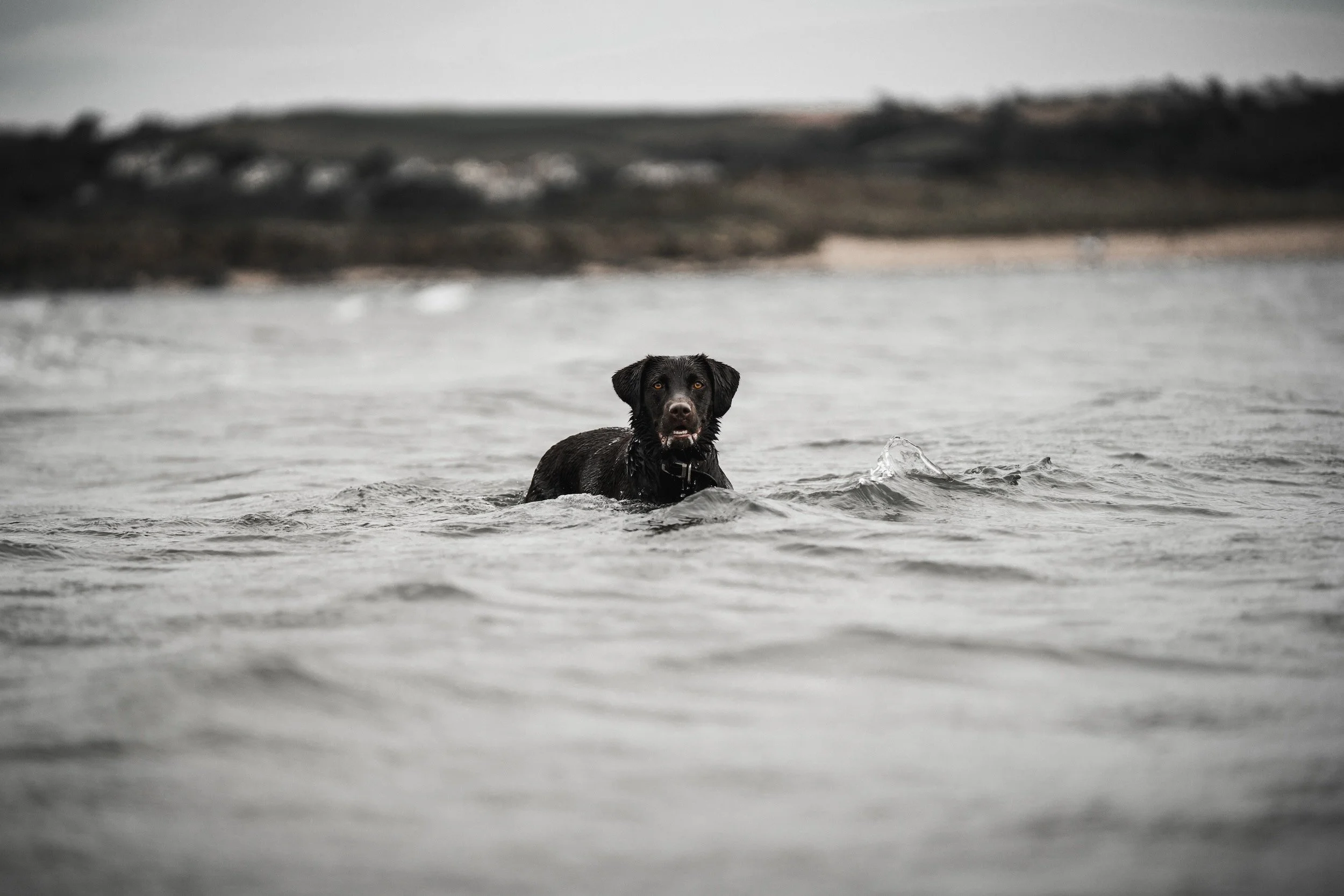 _DSC5115 (2).jpeg