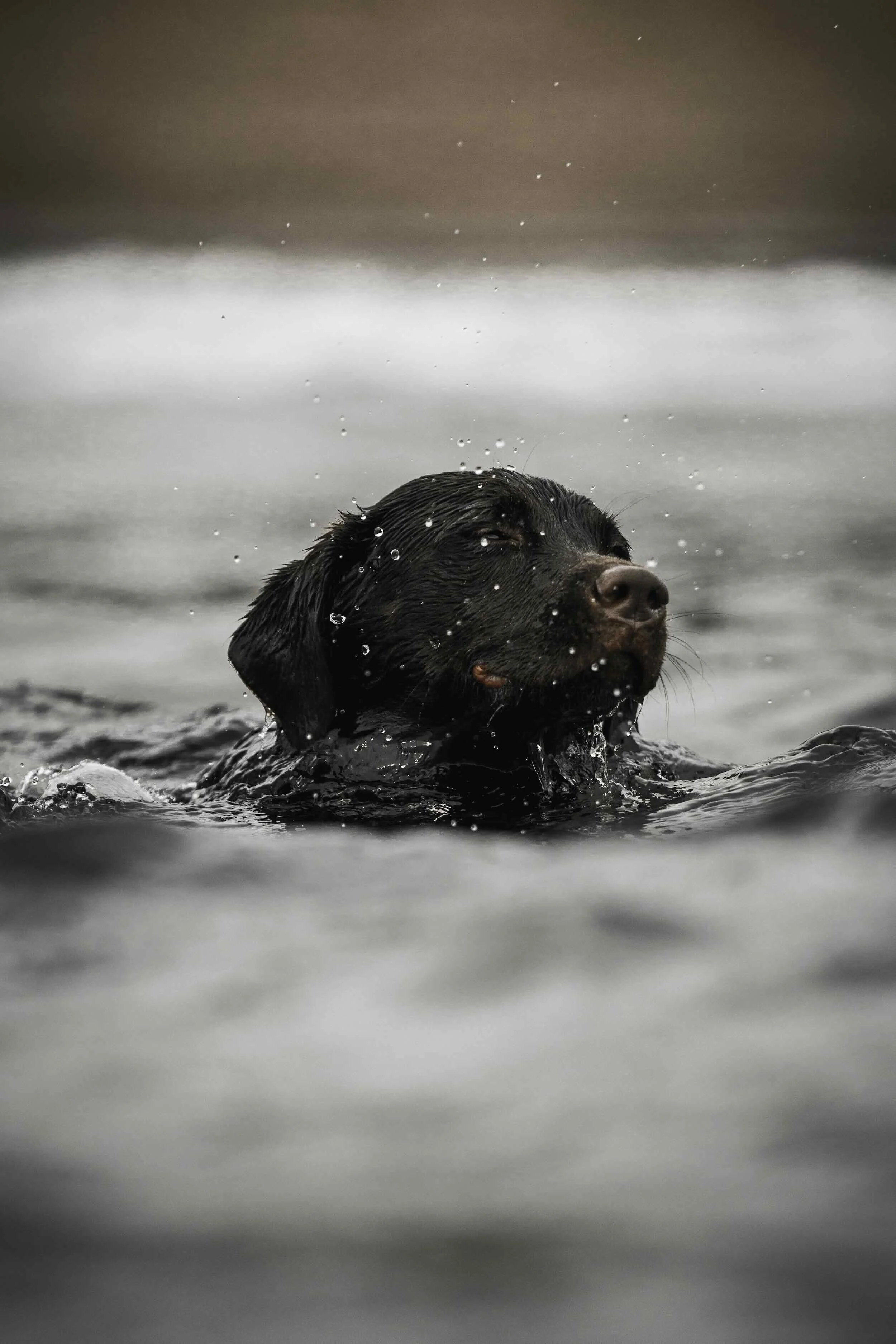 _DSC5145 (1).jpeg