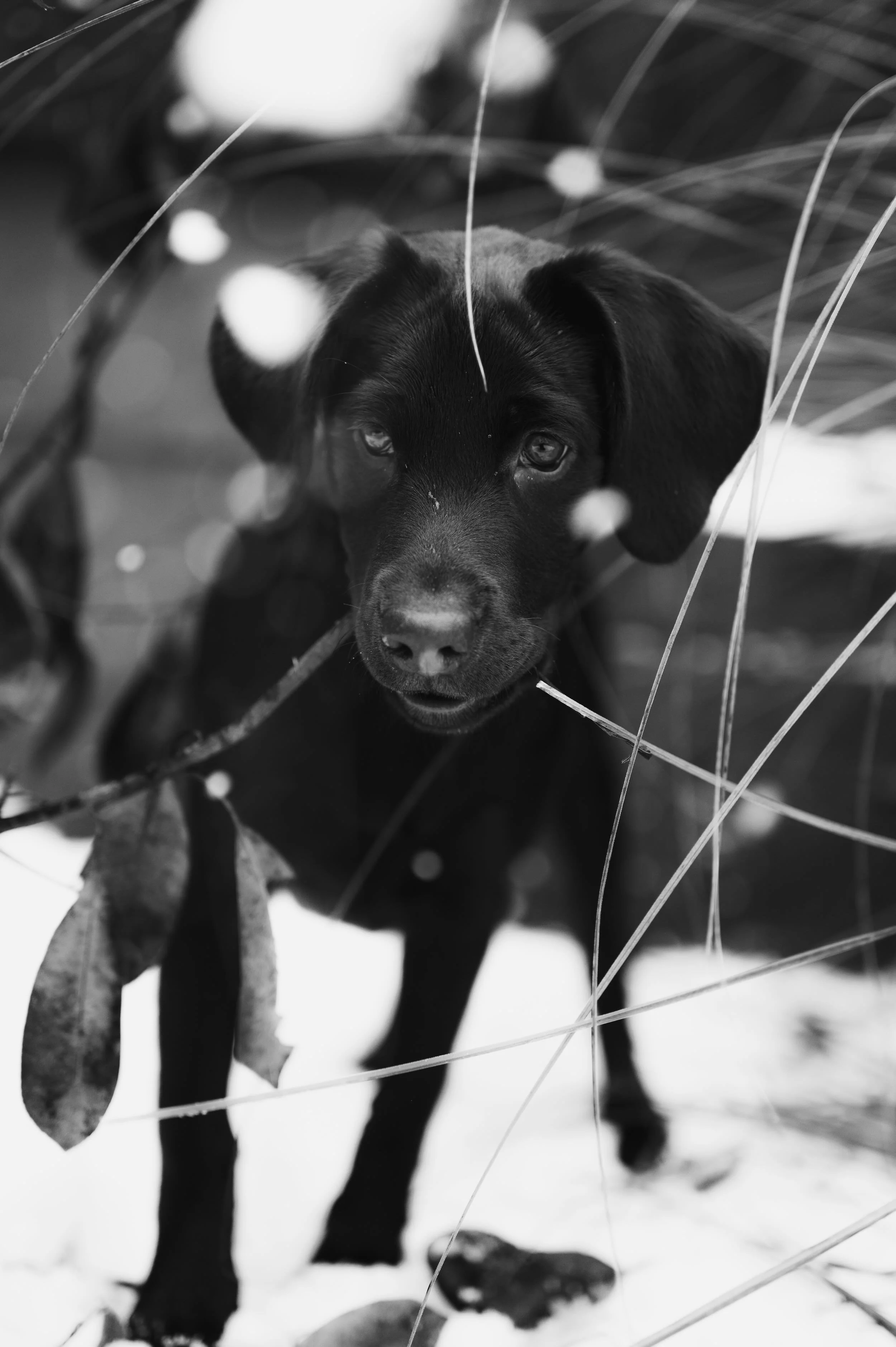 DSC_7286.jpeg