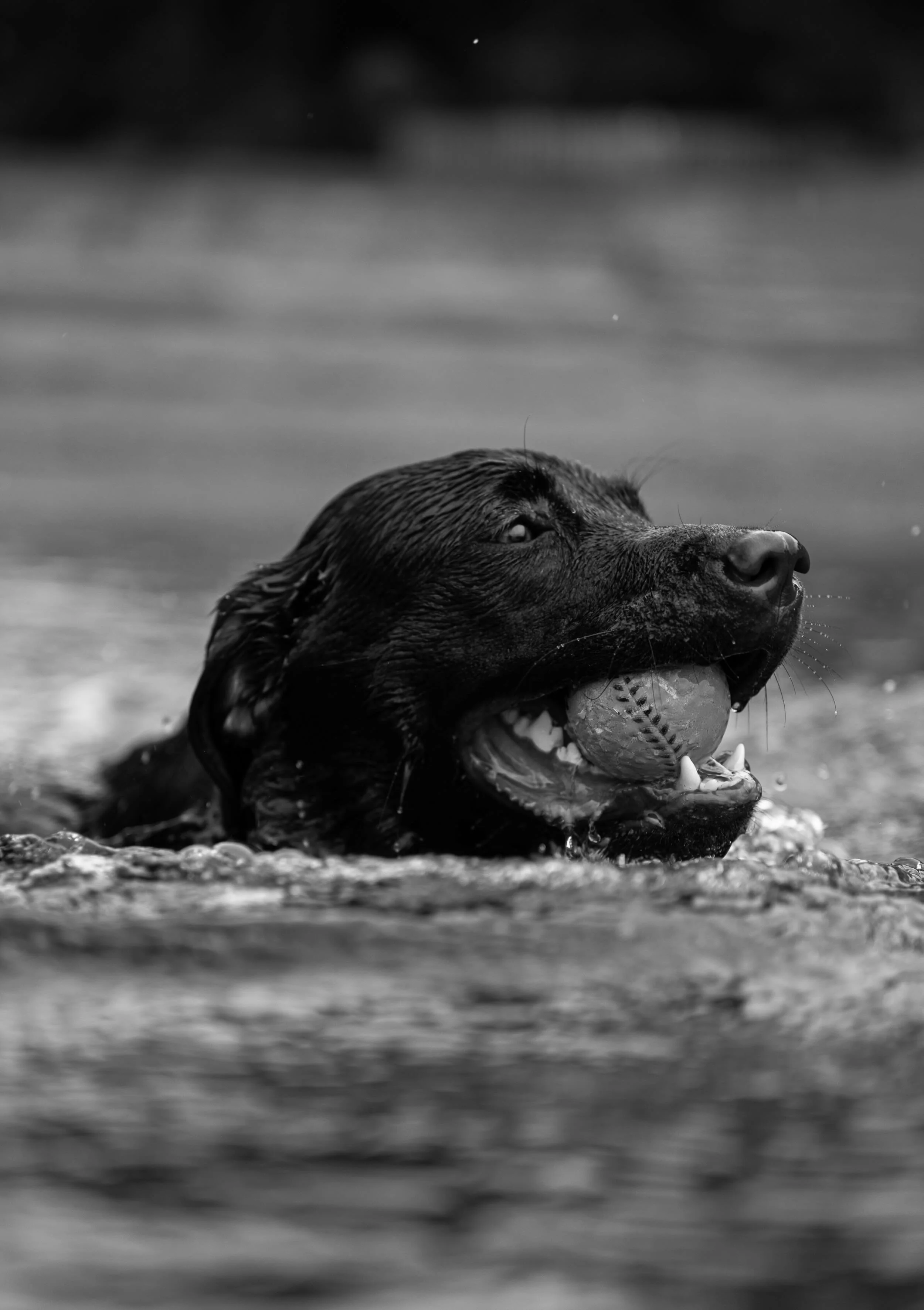 DSC_0752.jpeg