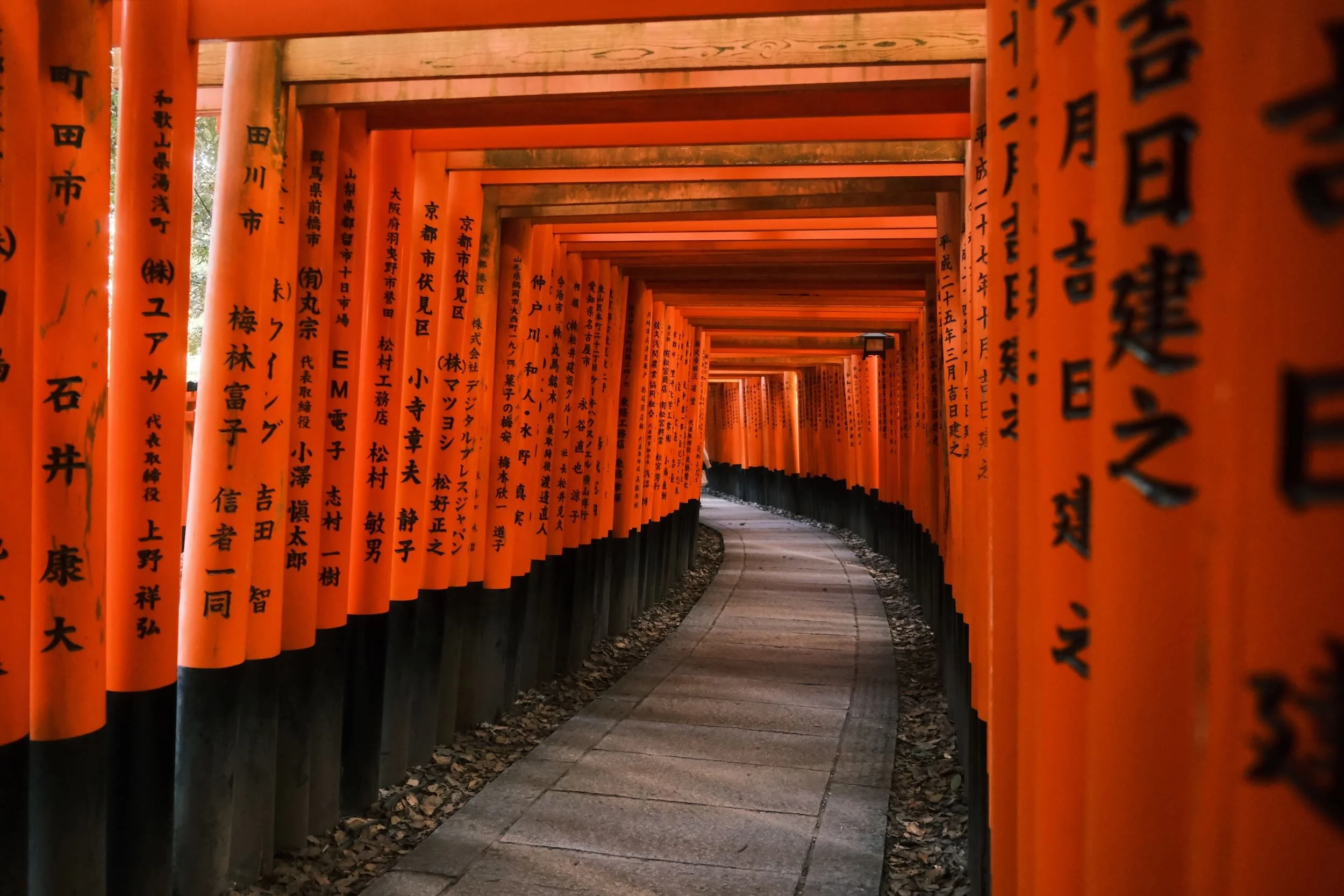 A pathway lined with numerous orange torii gates at Fushimi Inari Shrine in Kyoto, Japan, with black inscriptions on each gate, creating a tunnel effect.