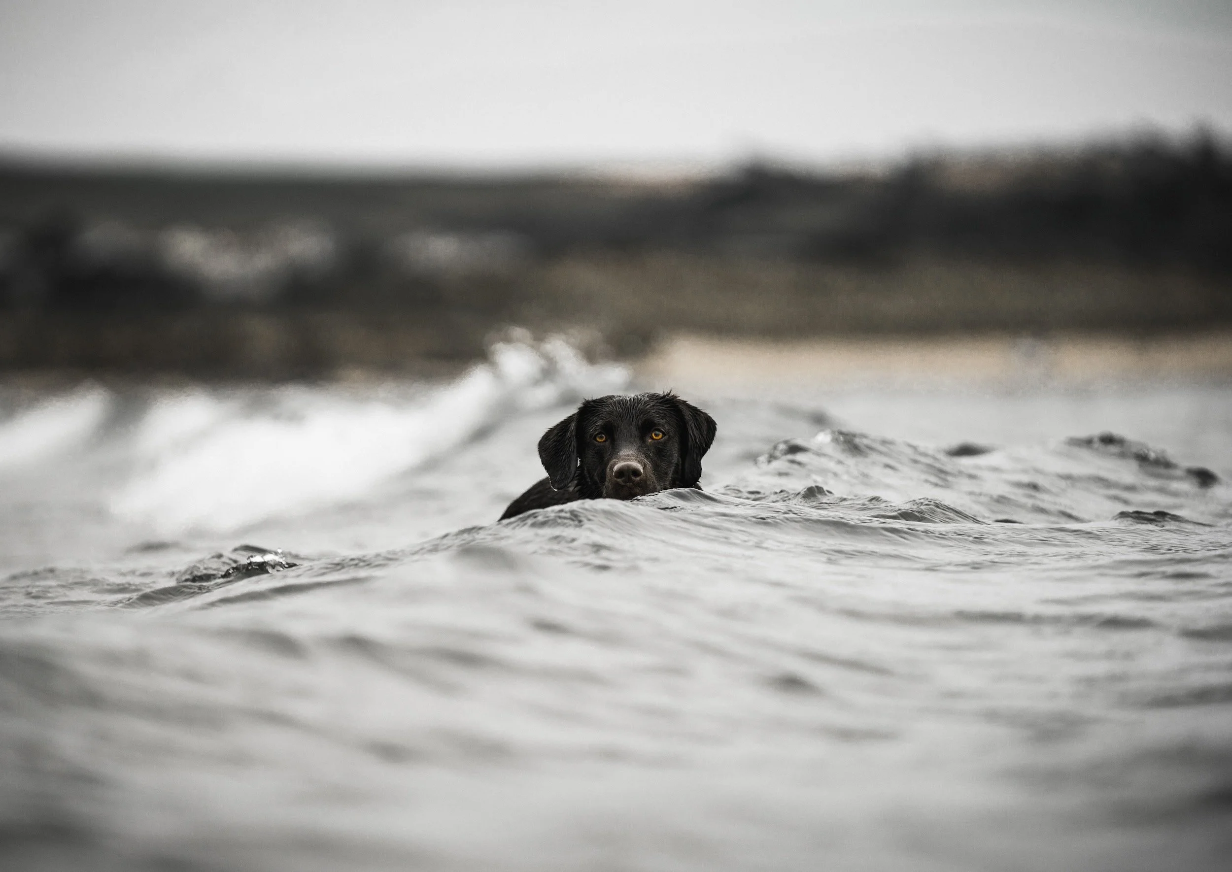 _DSC5120 (2).jpeg