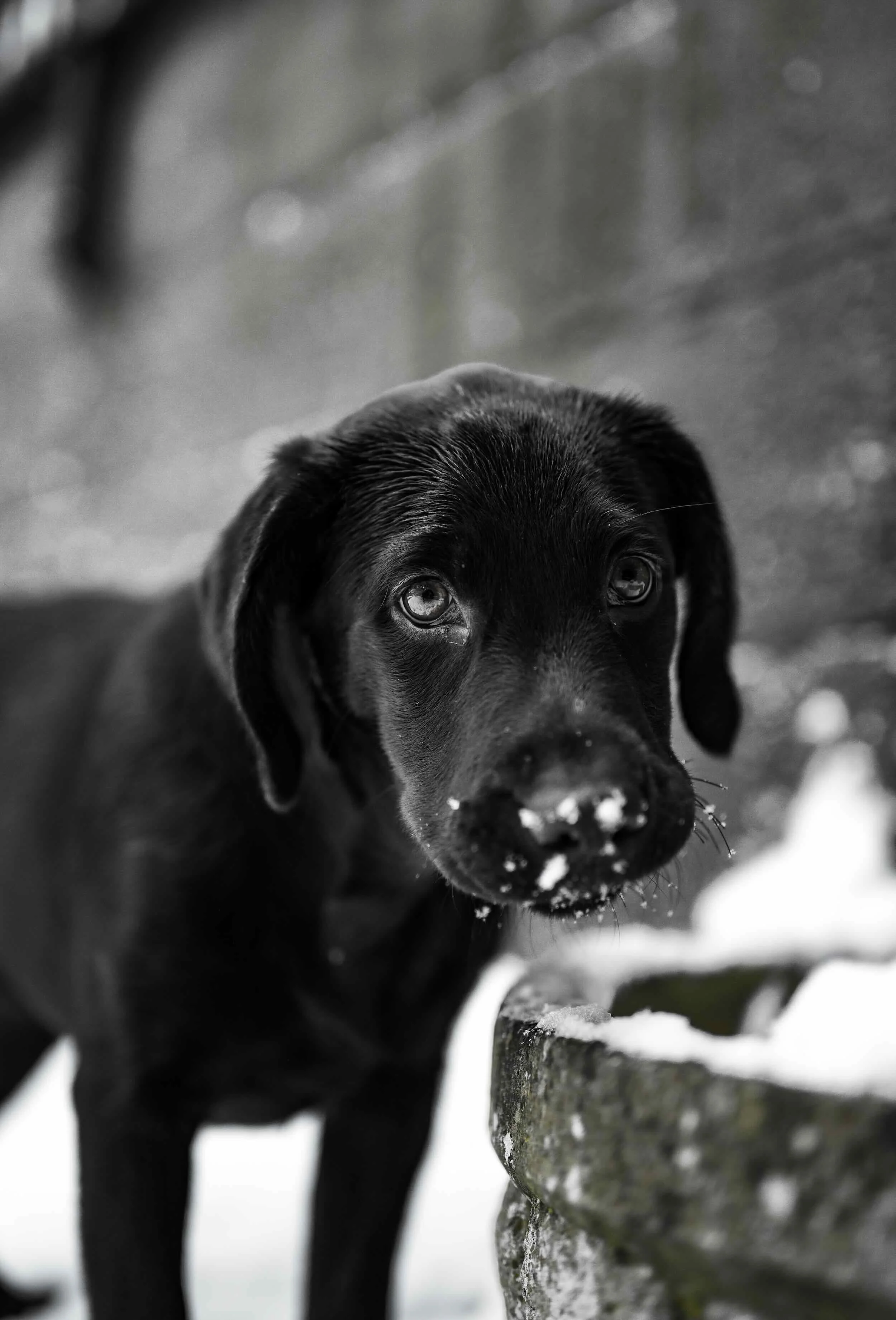 DSC_7309 (1).jpeg