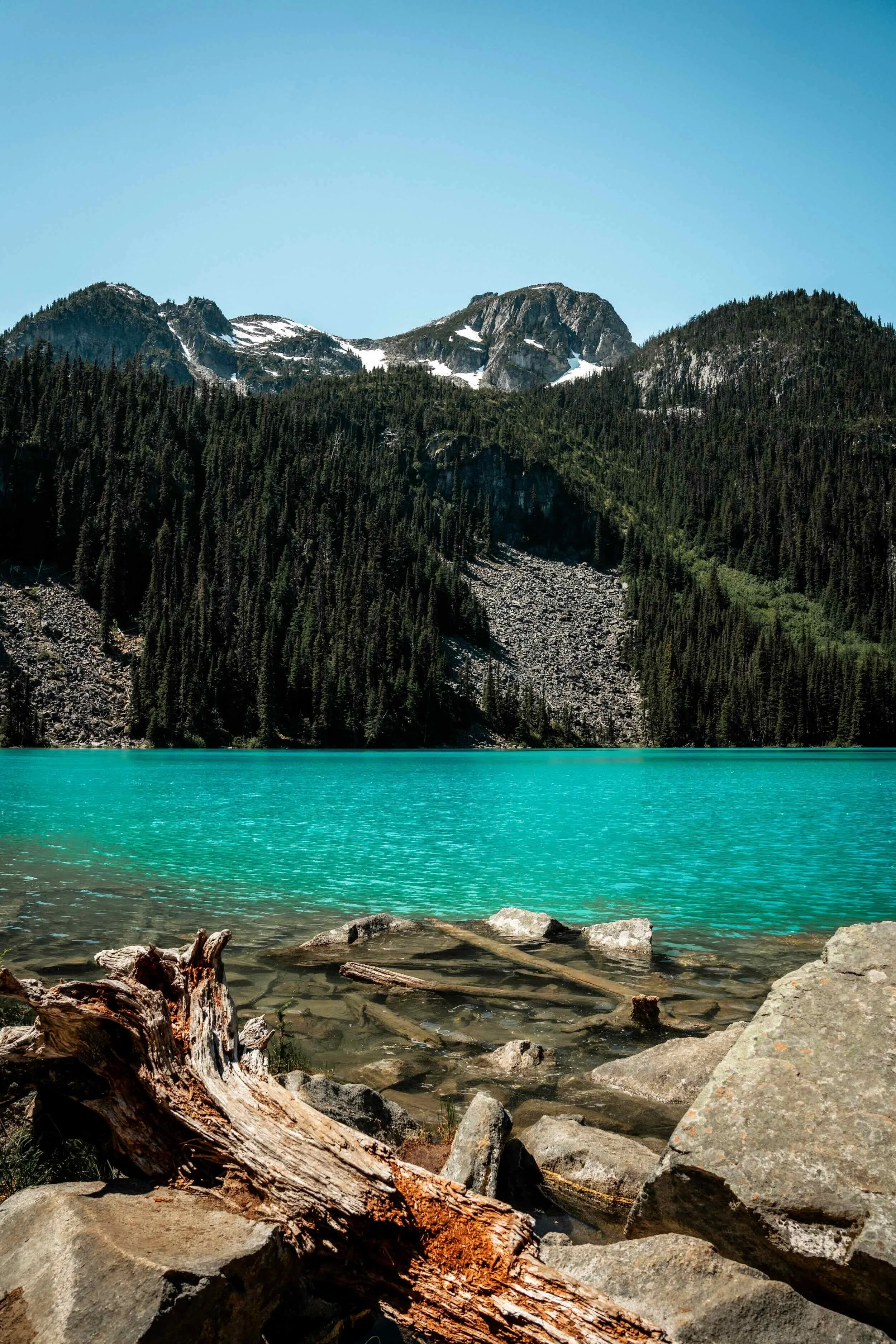 A mountain lake with clear turquoise water, surrounded by rocky shores and logs in the foreground, and densely forested mountains with patches of snow in the background under a bright blue sky.
