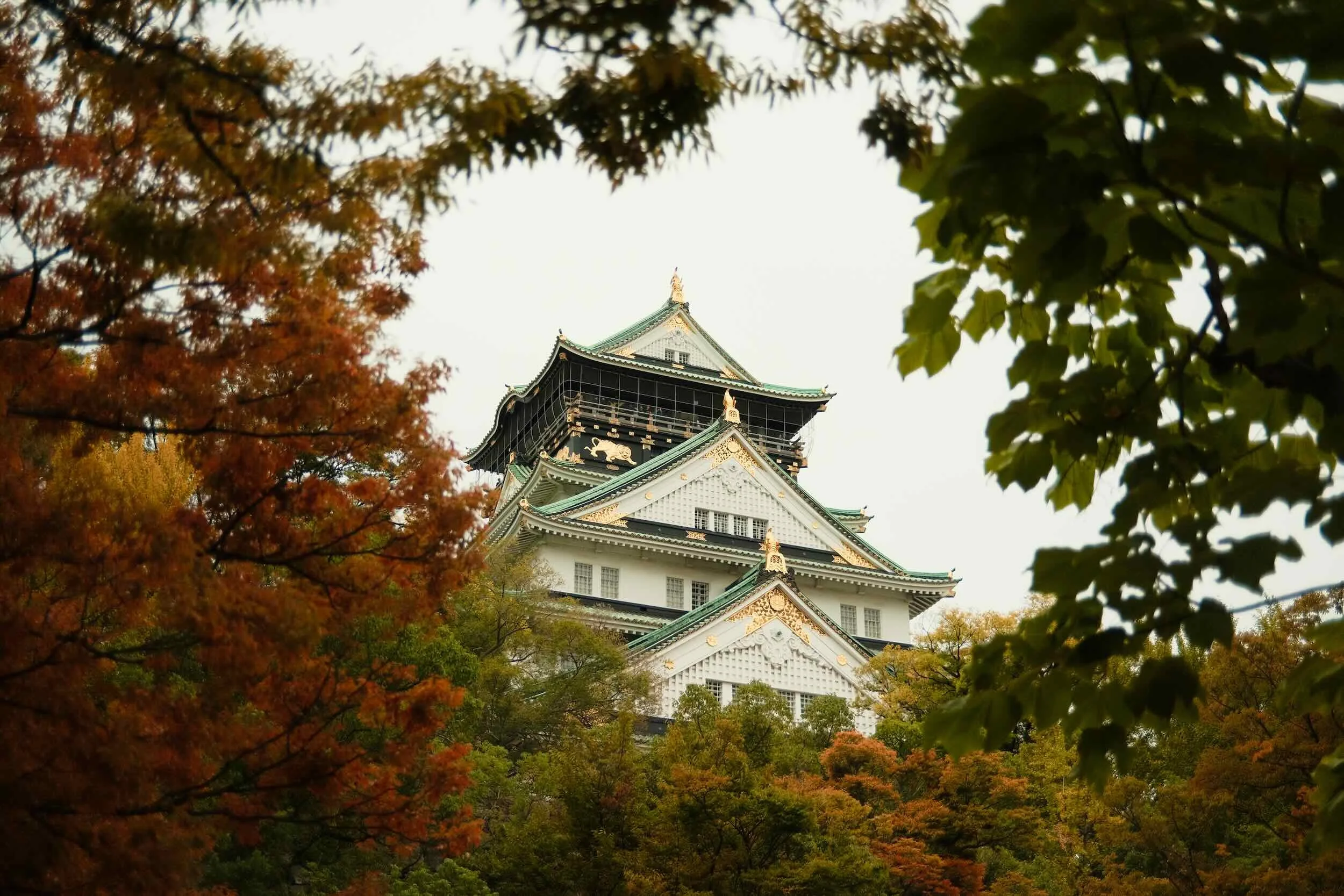 A traditional Japanese castle with white walls and green rooftops is partially visible through colorful autumn trees with red, orange, and green leaves.
