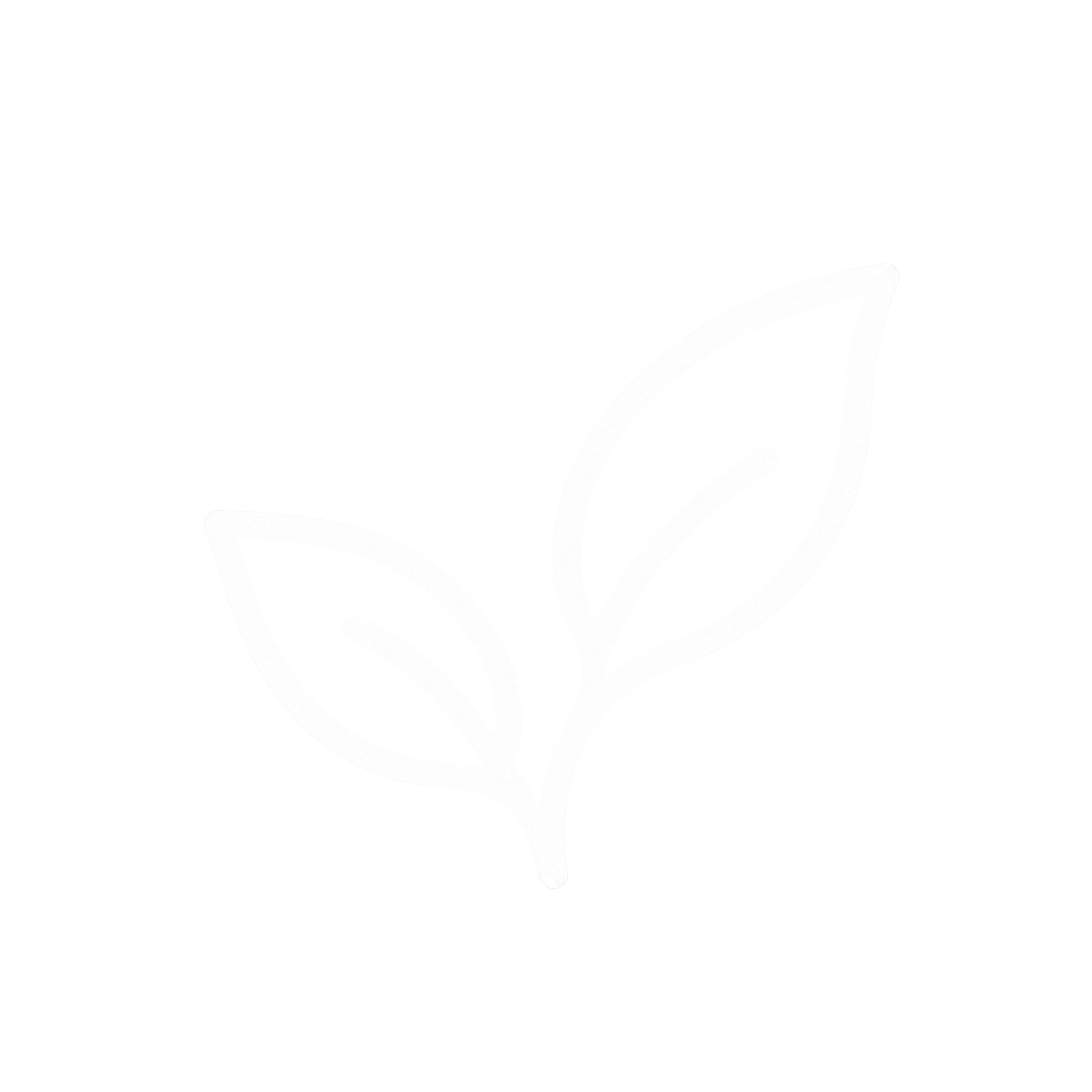 Stylized black and white line drawing of a plant with three leaves, with some textured shading inside the leaves.
