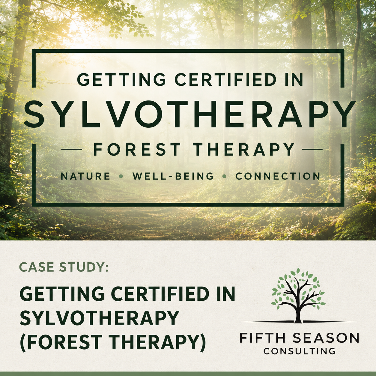 Expanding into Sylvotherapy