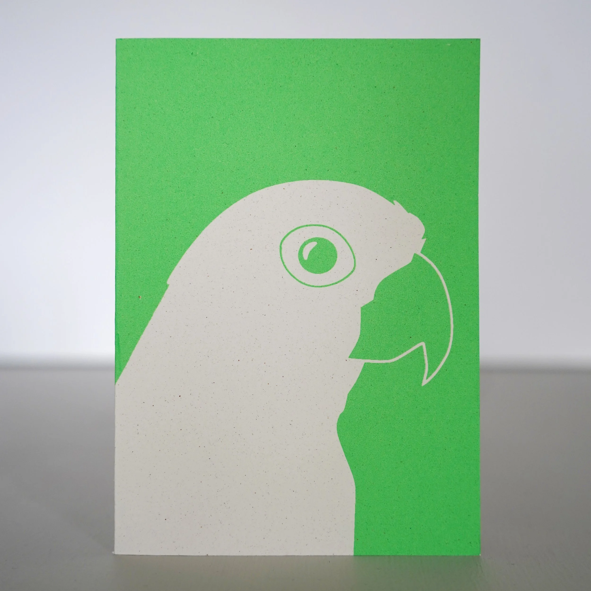 Golden Conure upright.jpg