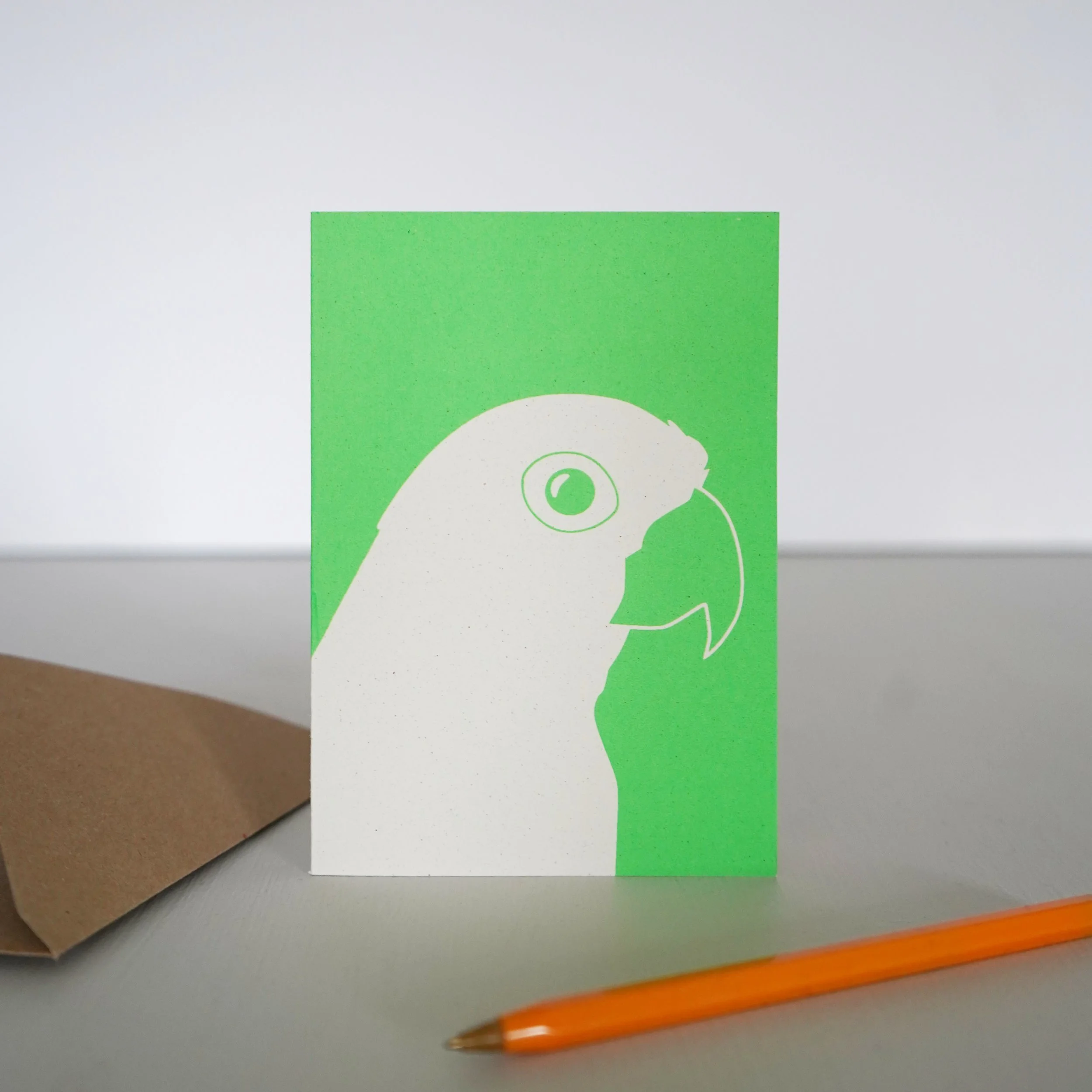 Golden Conure propped.jpg