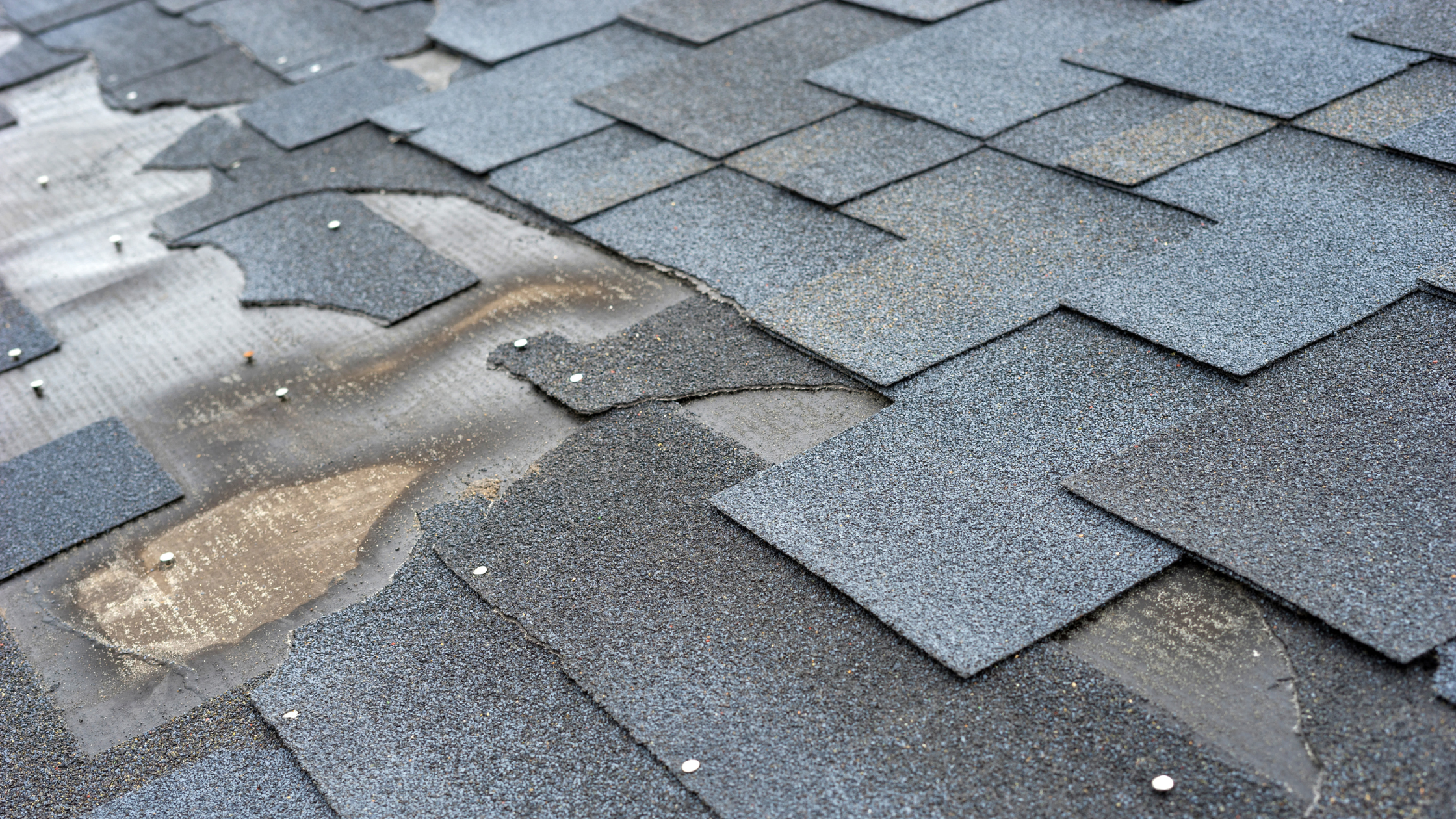 Close-up of several asphalt shingles on a roof, with some nails and adhesive visible.