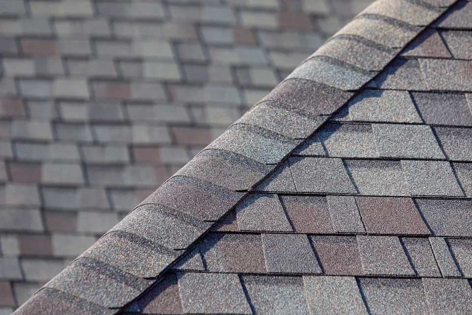 CertainTeed Shadow Ridge ClimateFlex Shingles 1.webp