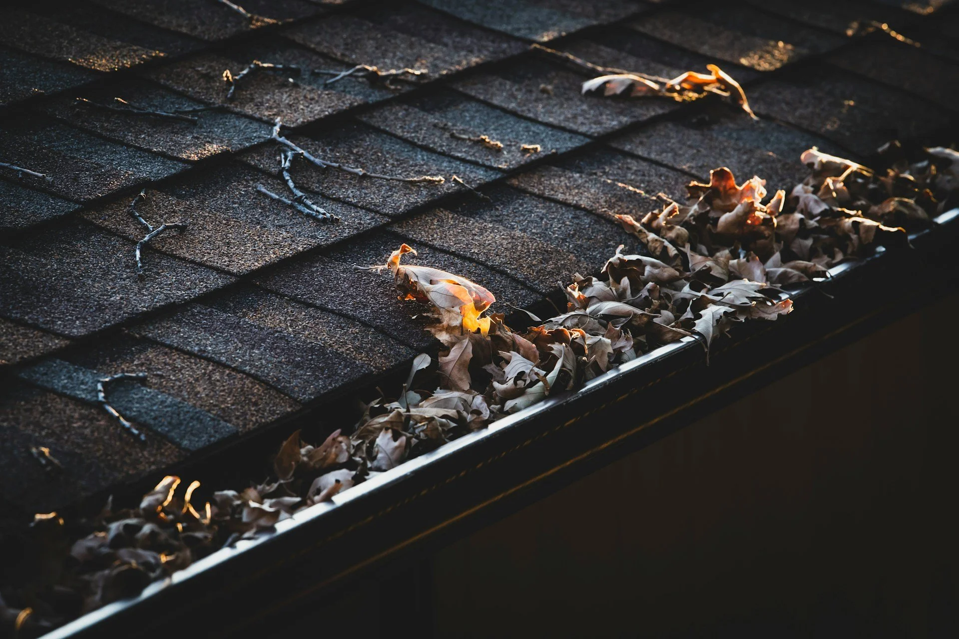 5 Reasons to Call a Gutter Cleaning Service Instead of Doing It Yourself