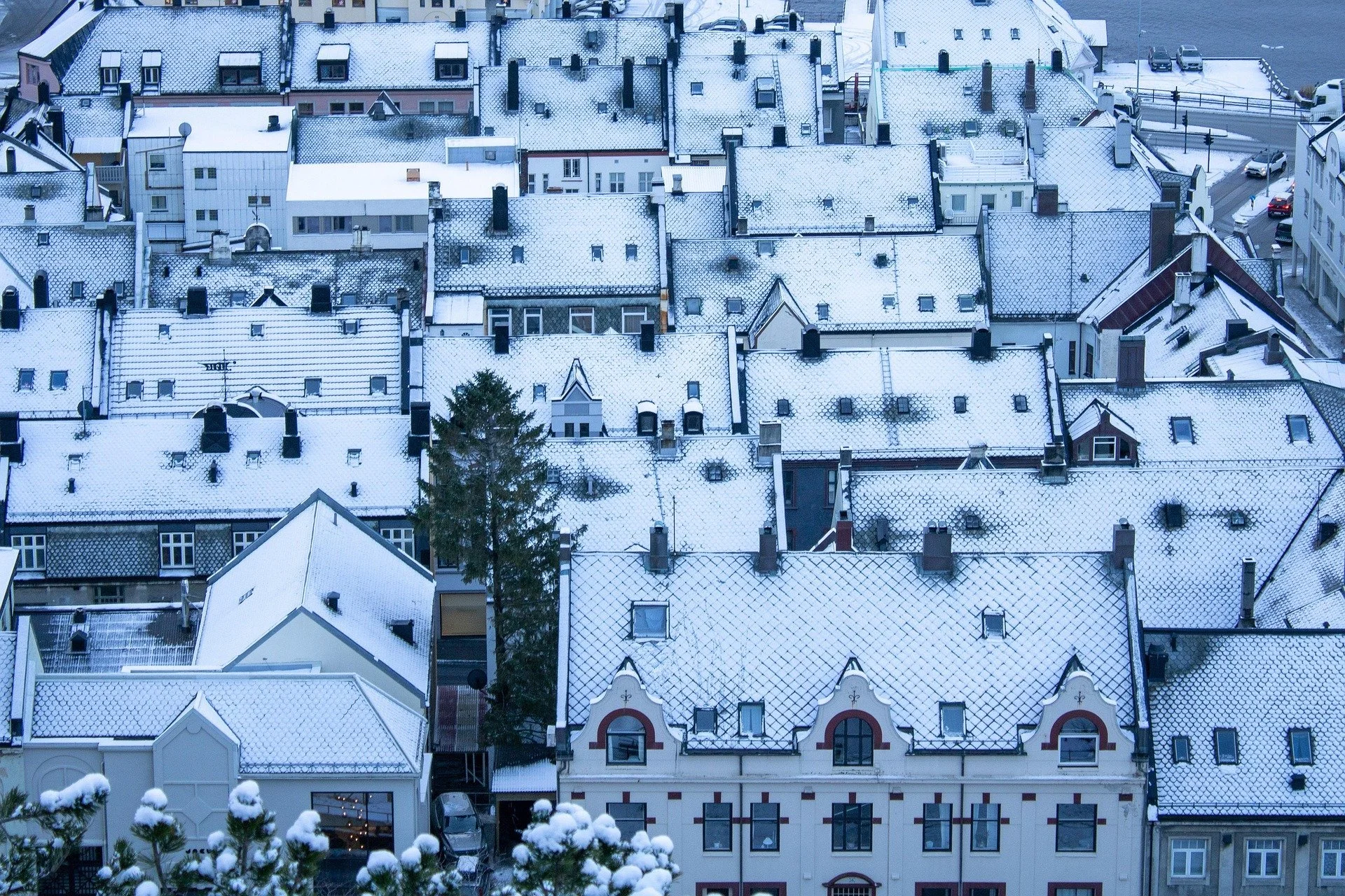 Waterloo Snow Event Alert: Everything You Should Do Before the Storm Hits