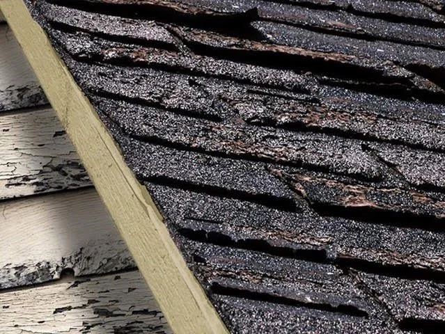 Close-up of a wooden roof with black asphalt shingles dusted with snow, and a weathered white wooden wall with peeling paint.
