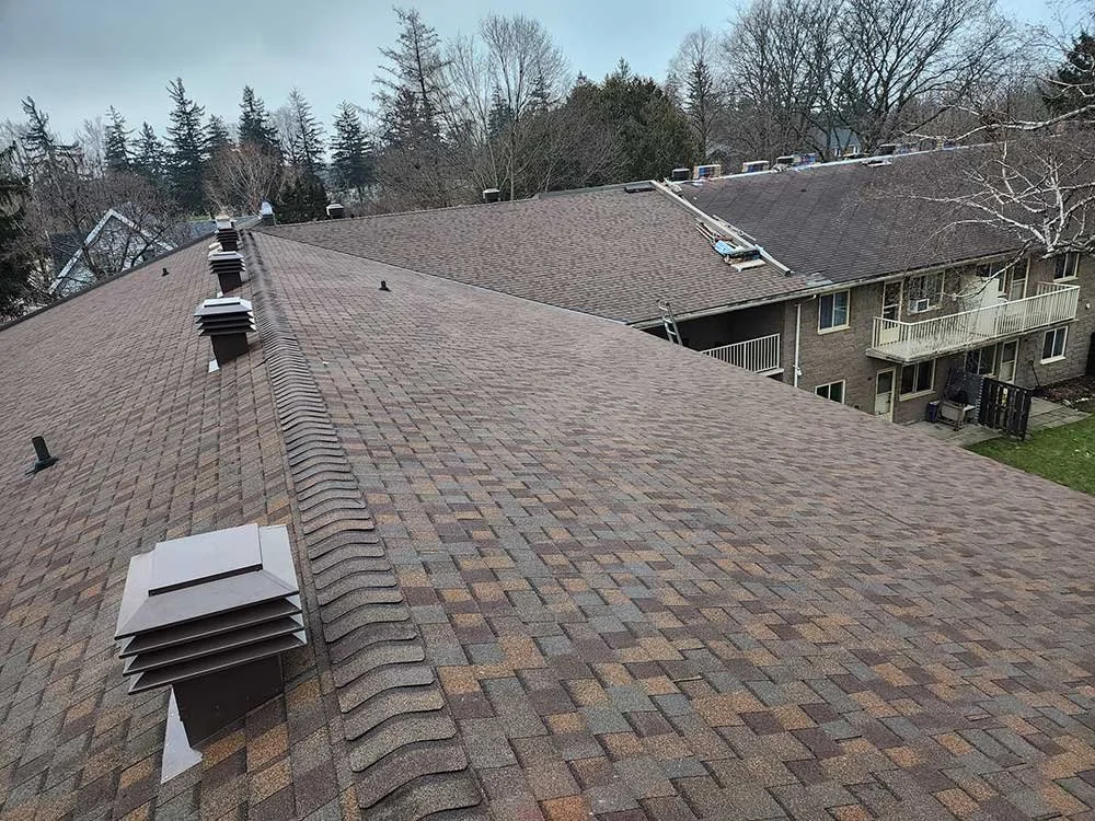 A view of residential rooftops with asphalt shingles, vents, and a ladder, with trees and neighboring houses in the background.