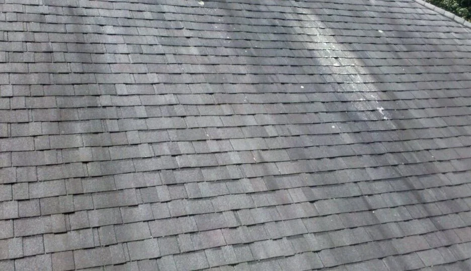 Close-up of a gray asphalt shingle roof with some streaks and dirt.