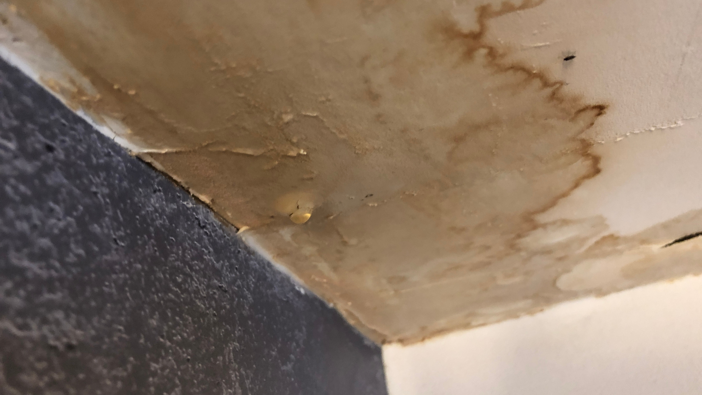 Close-up view of stained ceiling corner with peeling paint and dark discoloration.