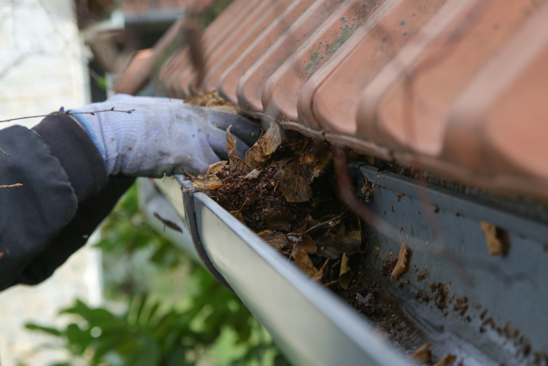 A person wearing a gray glove cleaning out leaves and debris from a gutter on a house with a reddish-brown tile roof.