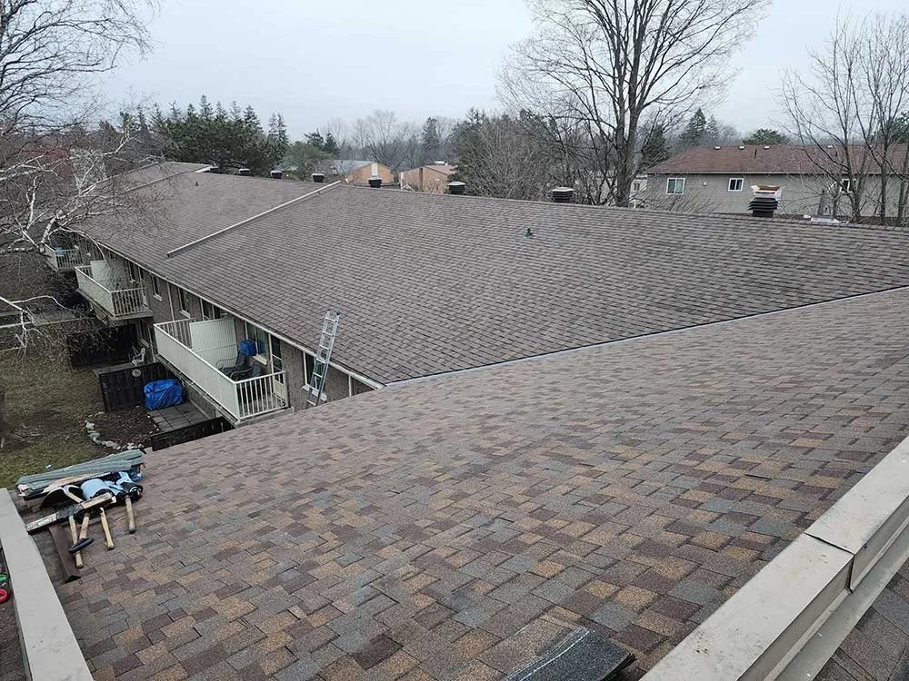 View of a row of residential rooftops with brown shingles, some with vents and chimneys, in a suburban neighborhood with leafless trees and neighboring houses in the background.