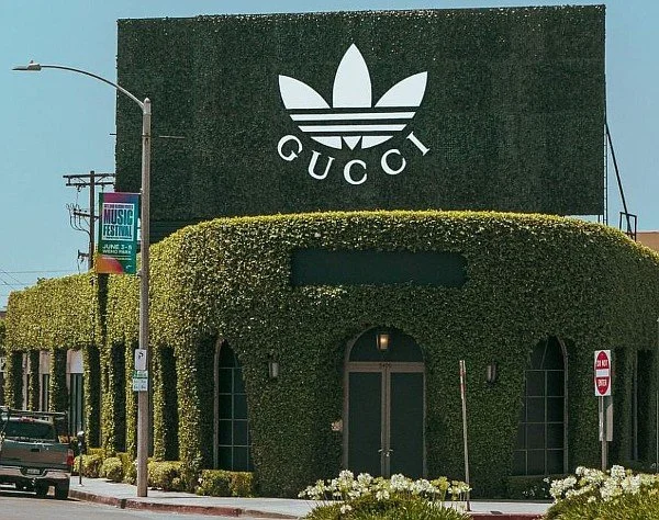 gucci melrose.jpg