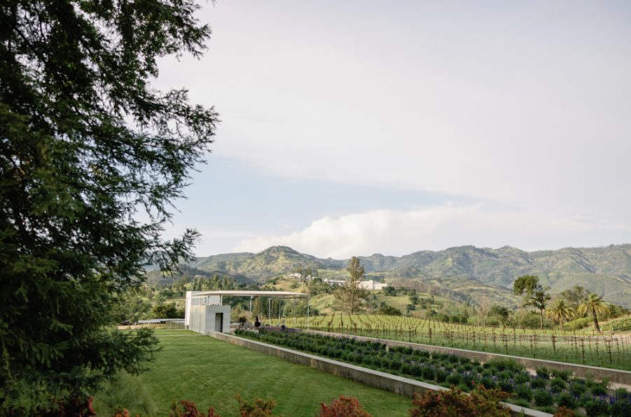Momento Mori Vineyard in Napa Valley, California