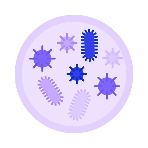 Illustration of various bacteria and viruses inside a cell.