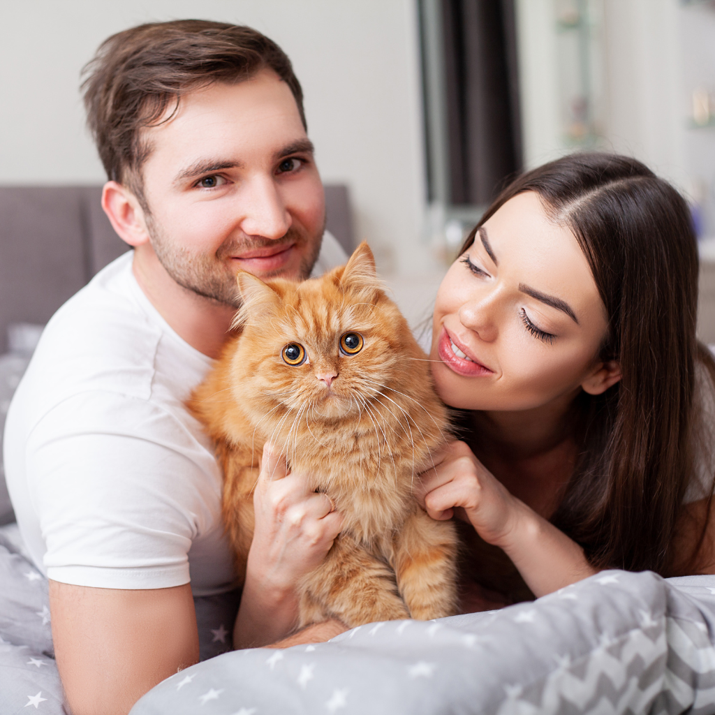 A smiling man and woman are lying on a bed holding an orange Persian cat.