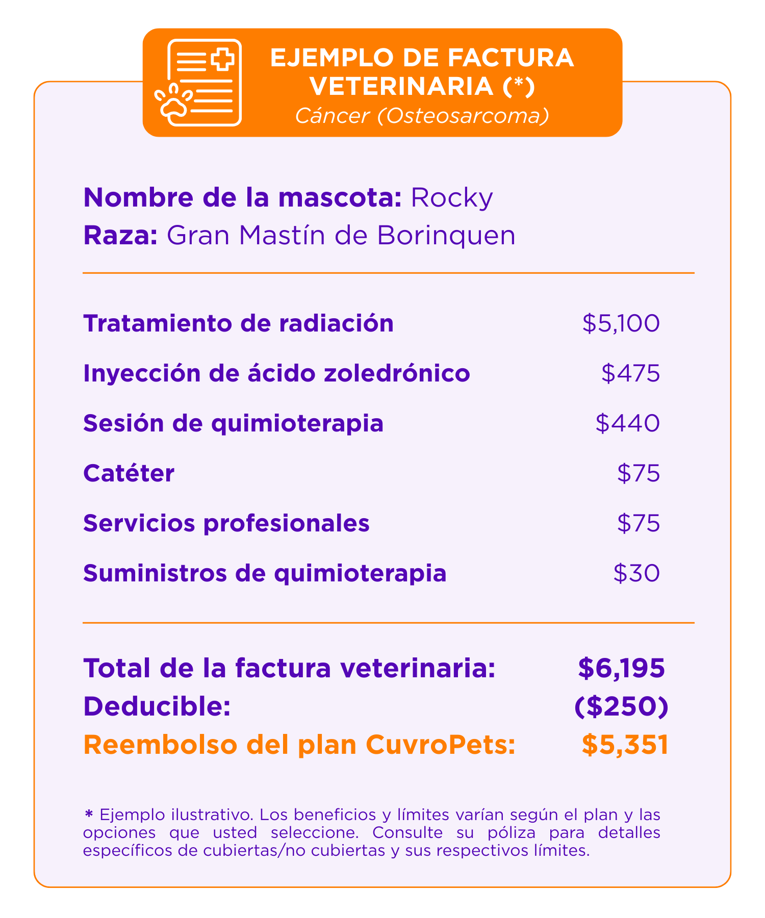 A veterinary bill example for a dog with cancer, detailing treatments and costs, including radiation, injections, chemotherapy, and professional services, with total and reimbursed amounts.
