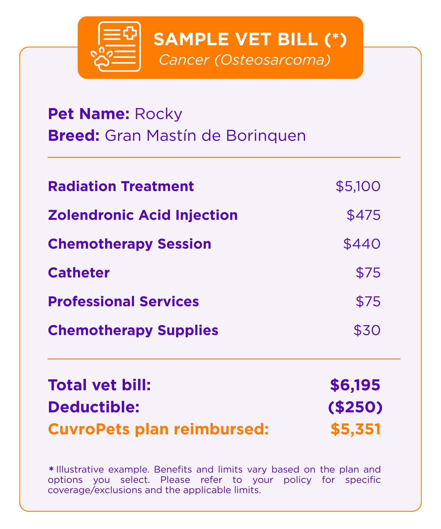 Sample veterinarian bill for a dog named Rocky, breed Gran Mastín de Borneo, detailing costs for radiation, injection, chemotherapy, and supplies, totaling over six thousand dollars with reimbursement.